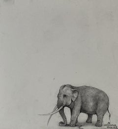 Petit éléphant