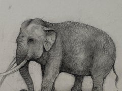 Small Elephant