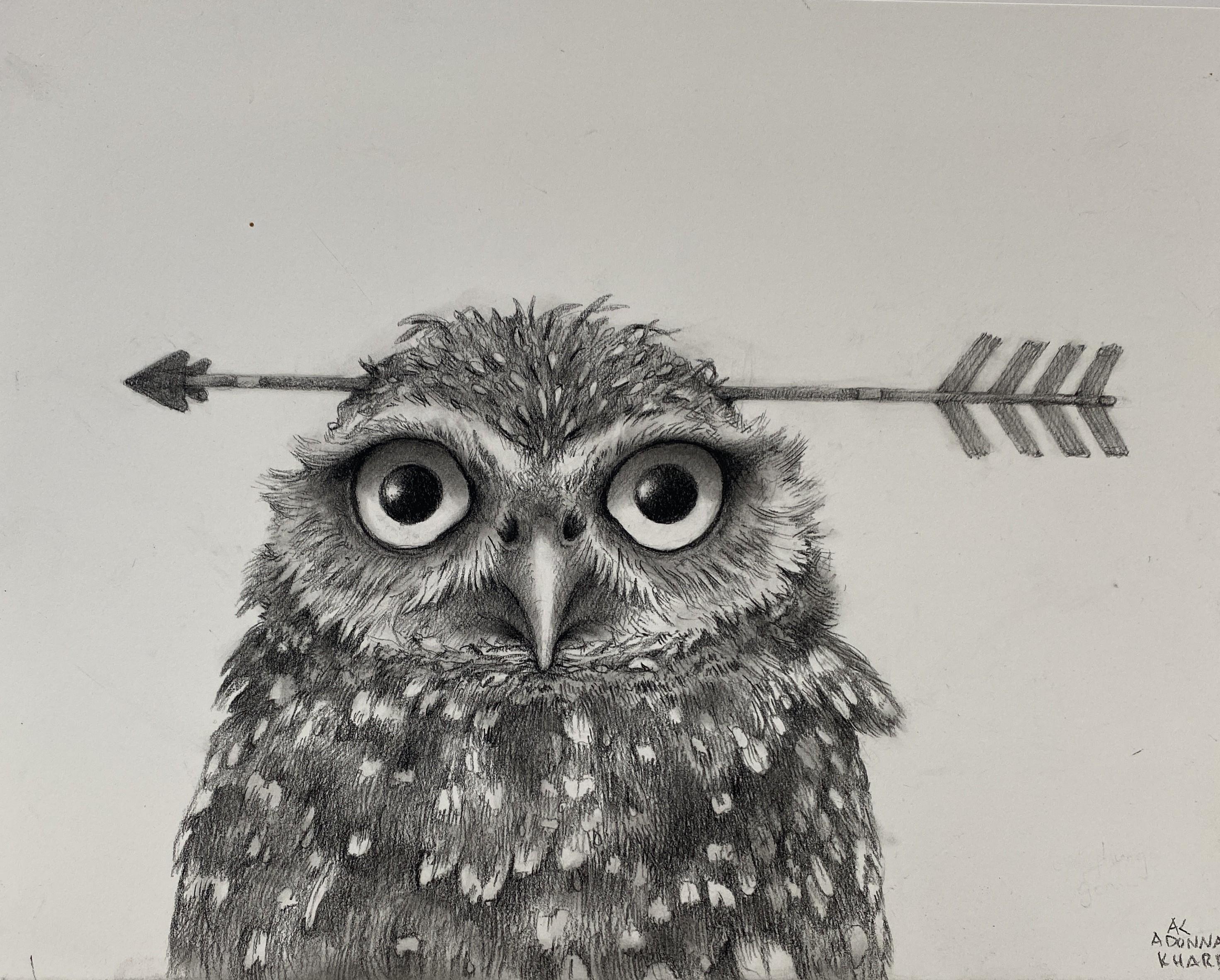 Hibou avec Arrow
