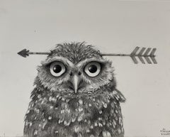 Hibou avec Arrow