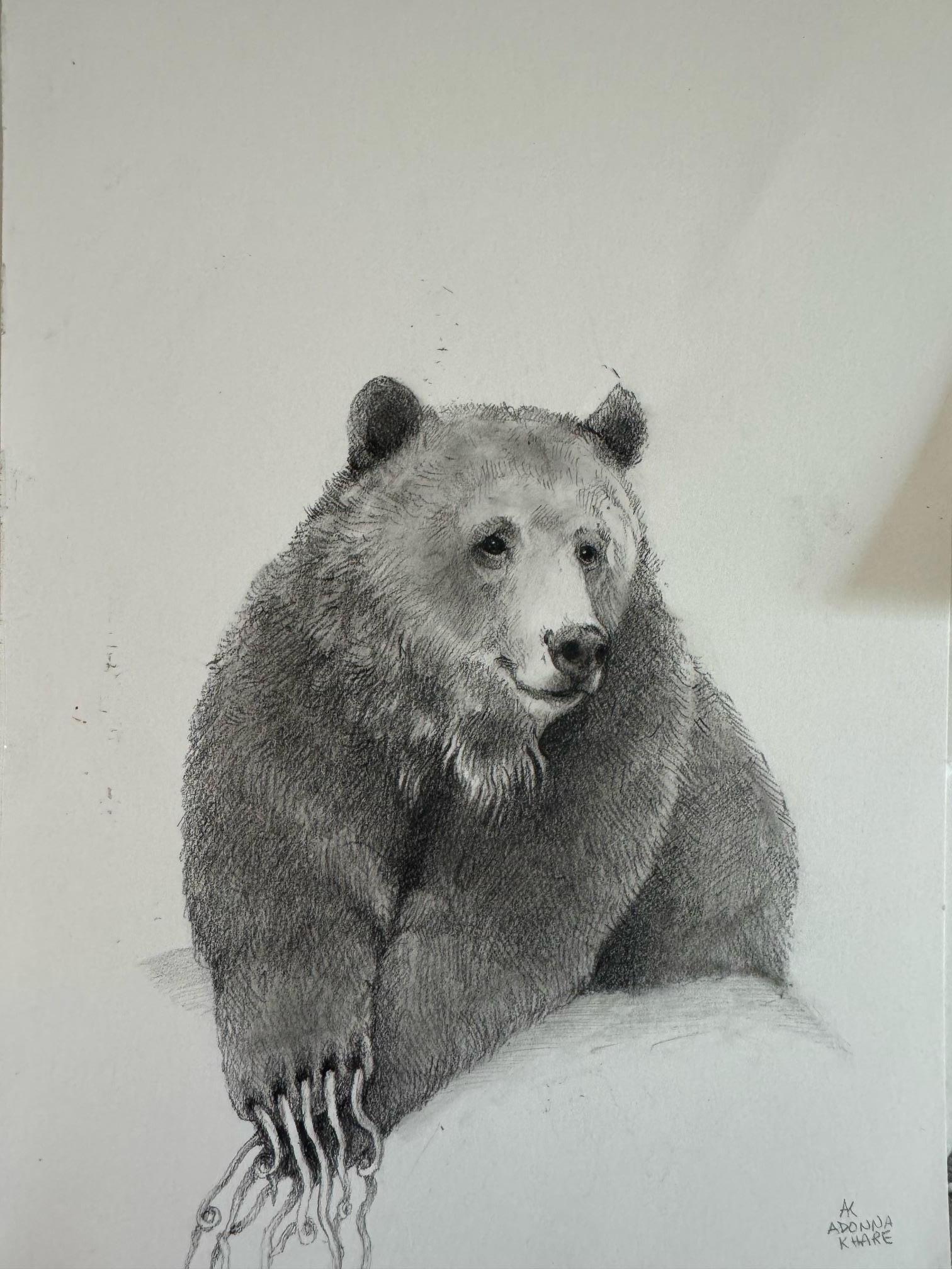 Long Nail Bear