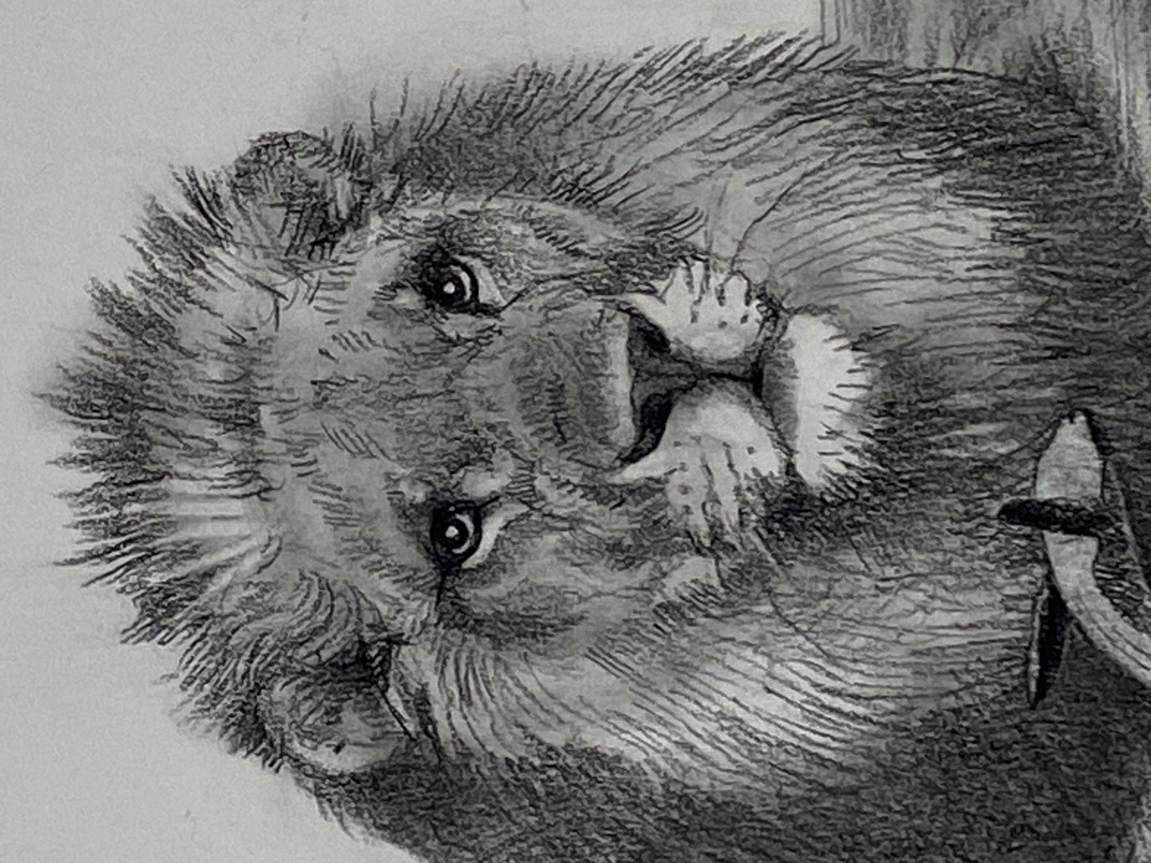 Adonna Khare è una maestra americana della matita al carbonio. Il suo stile è stato paragonato alle illustrazioni foto-realistiche di Audubon, ma i mondi surreali e gli strani abitanti che crea possono nascere solo dalla sua immaginazione. Le opere