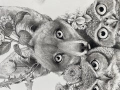 Fox with Owls