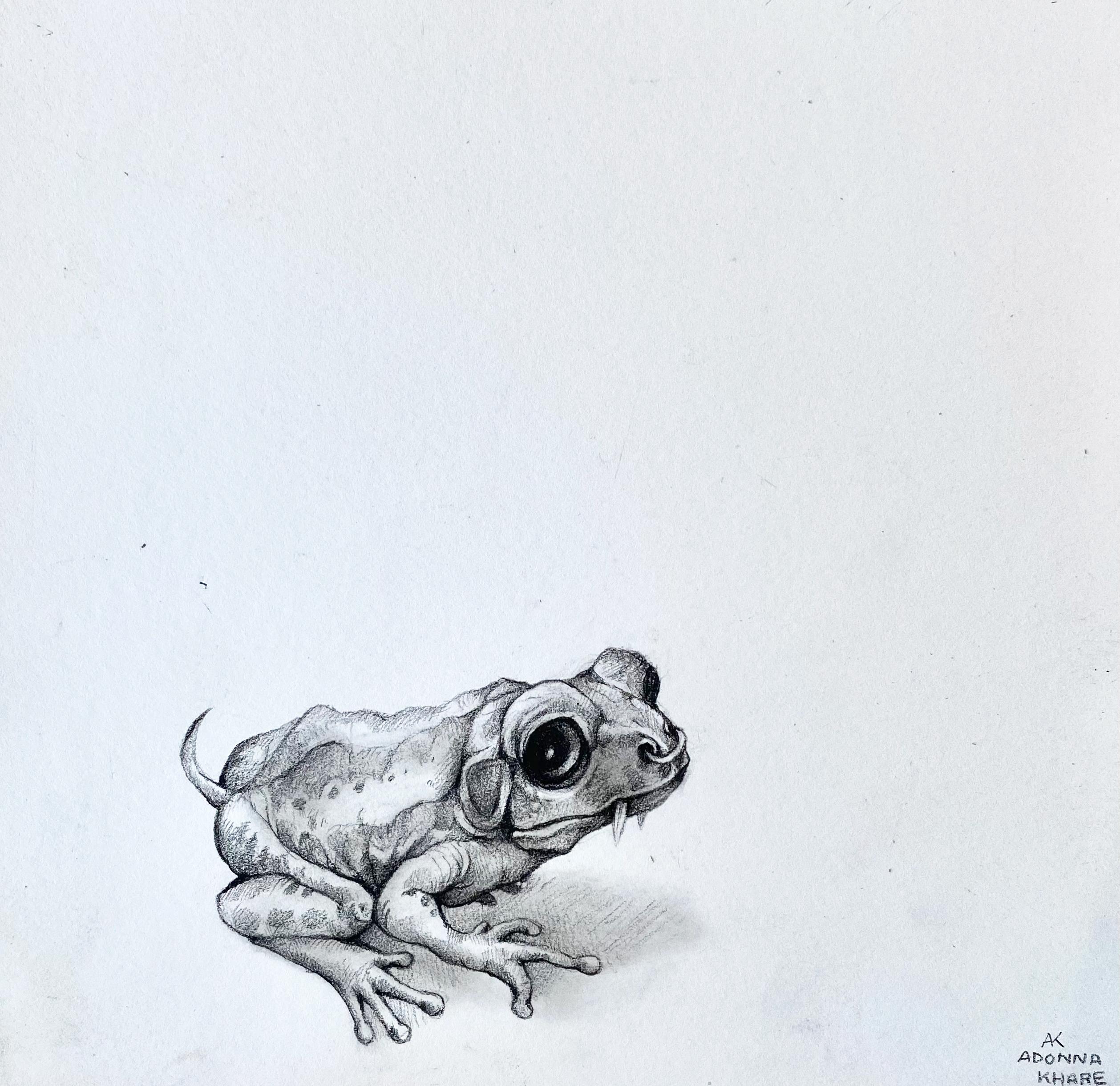 Adonna Khare Animal Art – Zahnfrosch