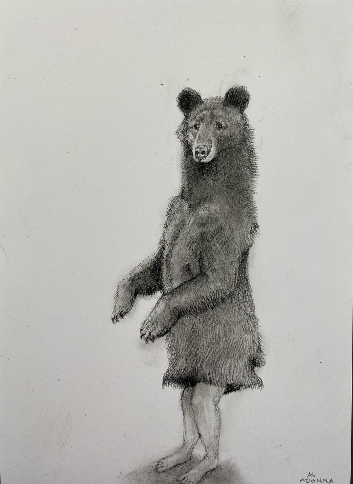 Schwarzer Bär mit Beinen