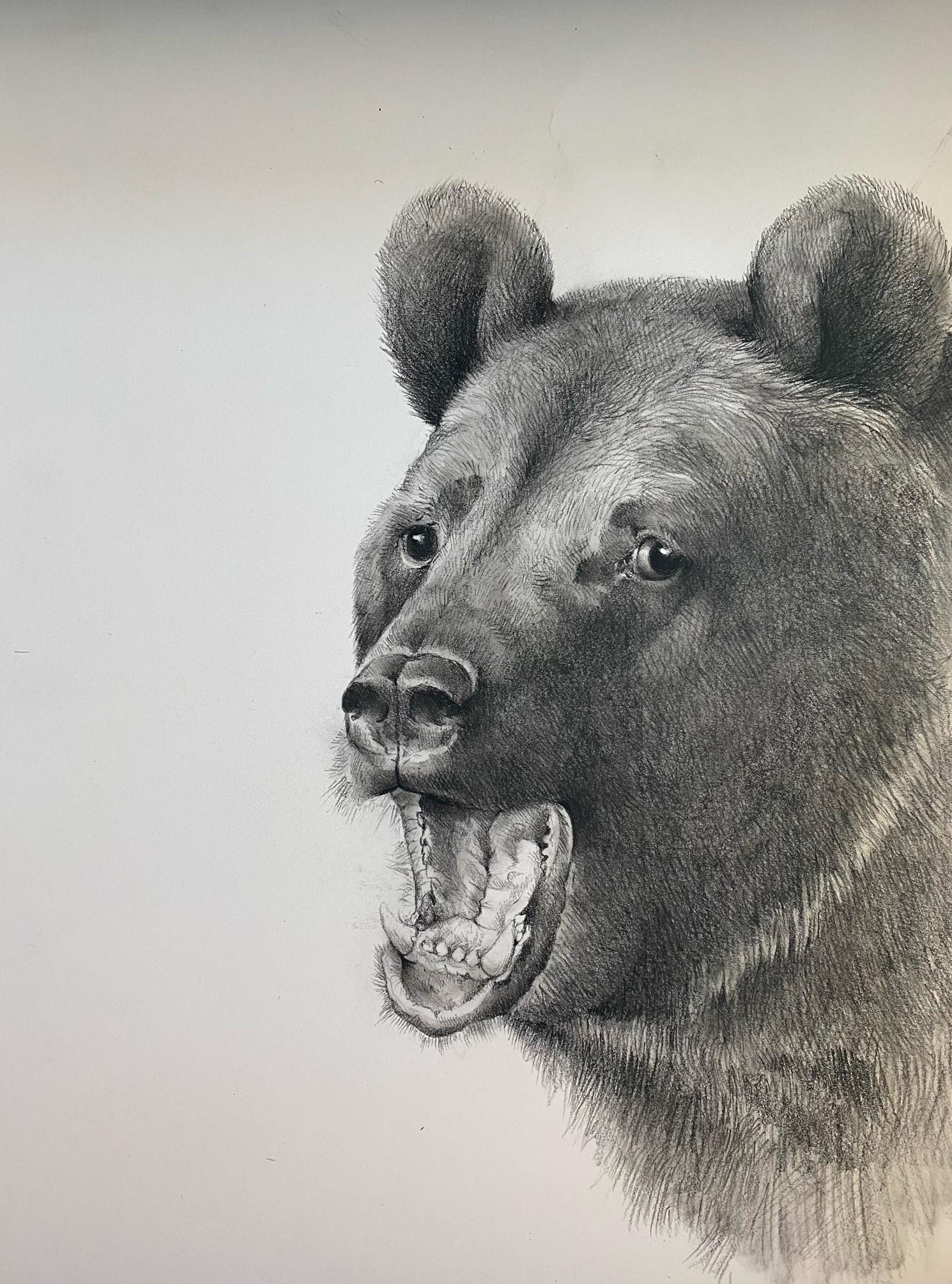 Big Bear - Art by Adonna Khare