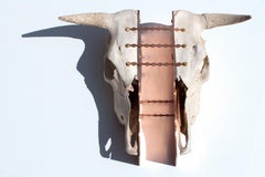"Phantom of Breached Connections", cow, skull, blue, copper, orange, print