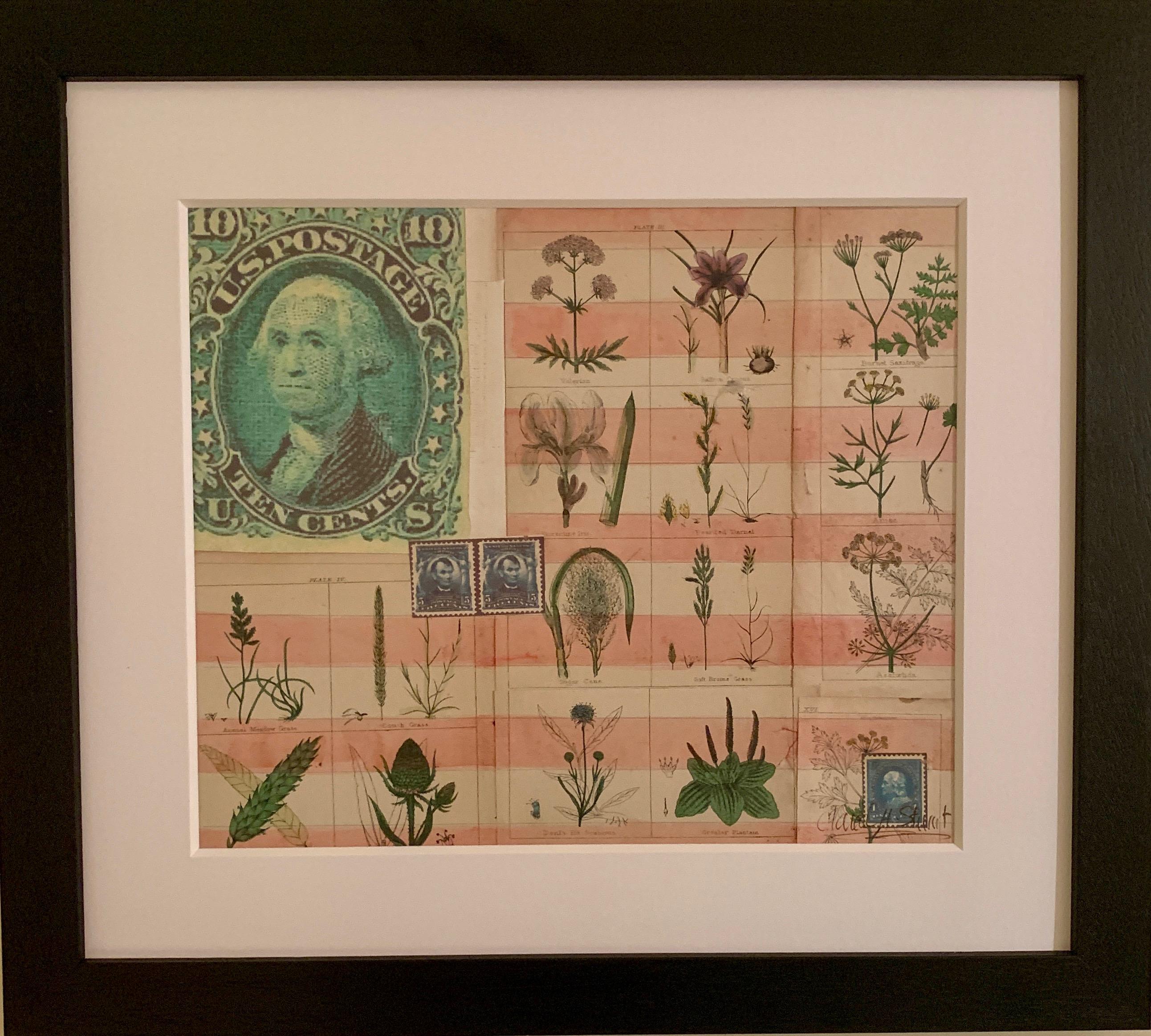 American flag collage with 19th century botanicals hand colored in watercolor  - Mixed Media Art by Claude Howard Stuart