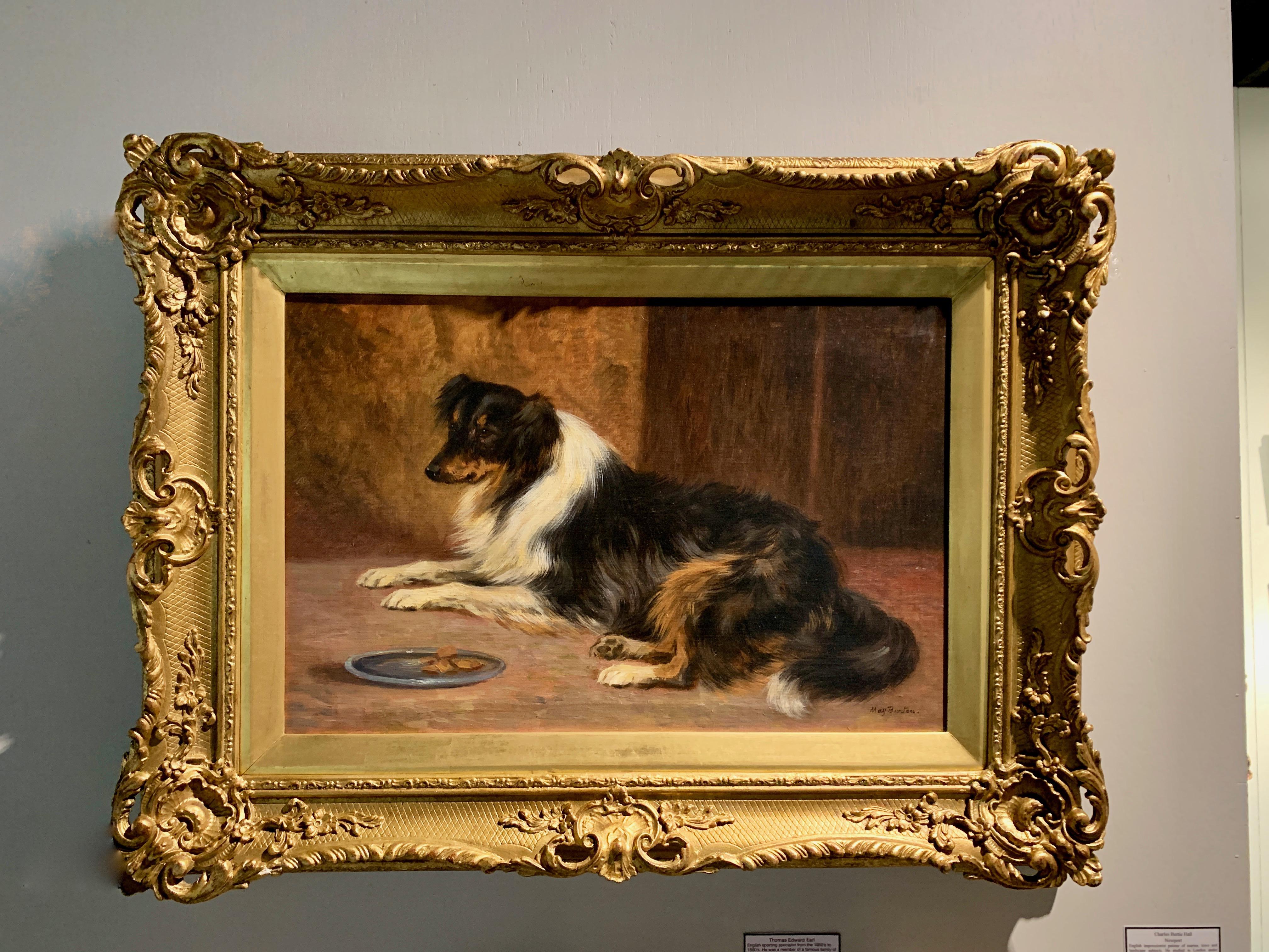 May Burton Figurative Painting - English early 20th century Portrait of a seated Collie dog 