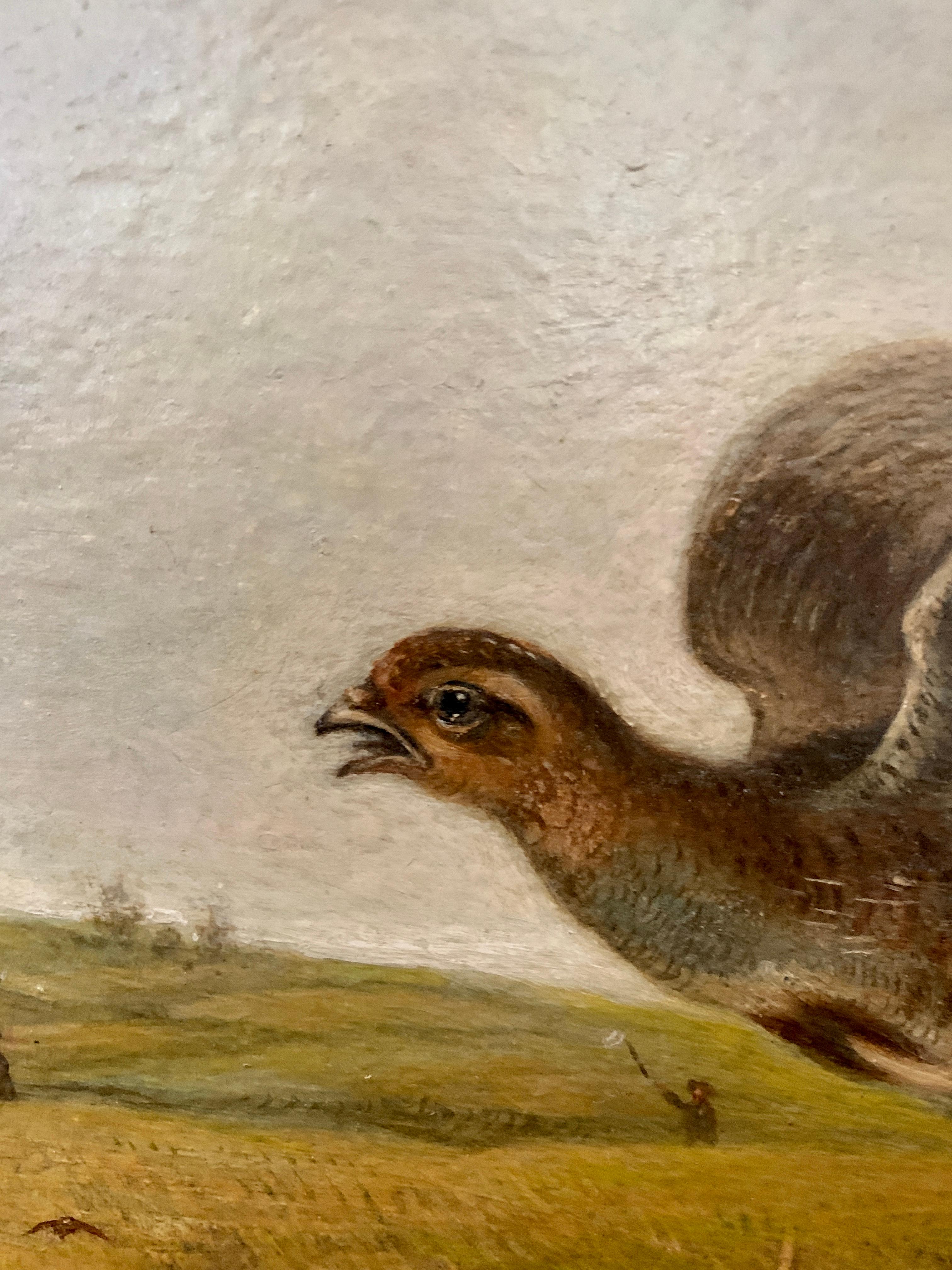 English 19th century, Pheasants at flight during a shoot in an English landscape - Brown Animal Painting by Follower of Stephen Elmer