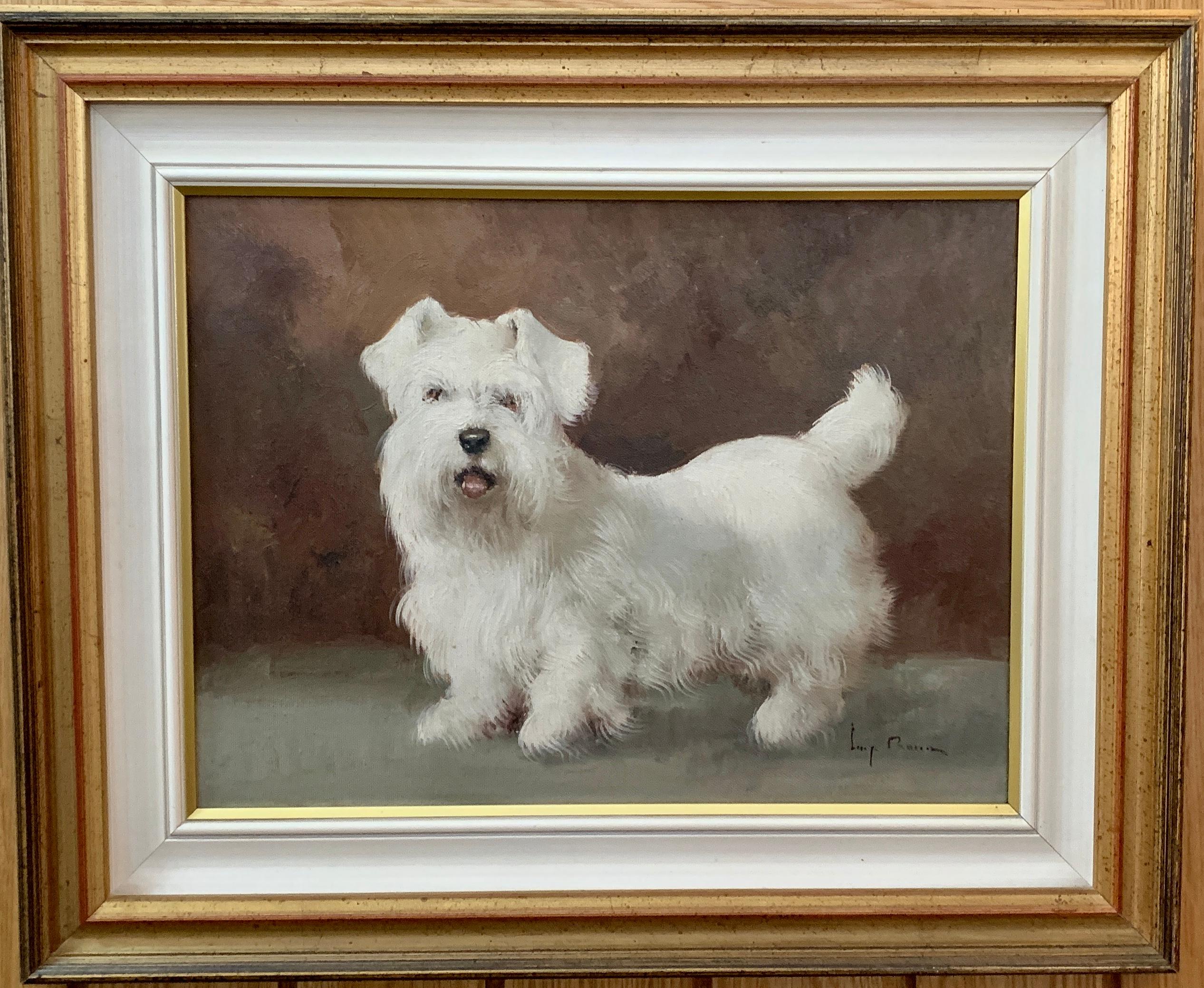 Professor Luigi (Gigi) Rocca  Animal Painting - Portrait study of a West Highland White Terrier or Westie, white puppy or dog