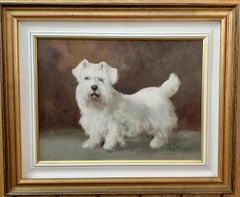 Portrait study of a West Highland White Terrier or Westie, white puppy or dog