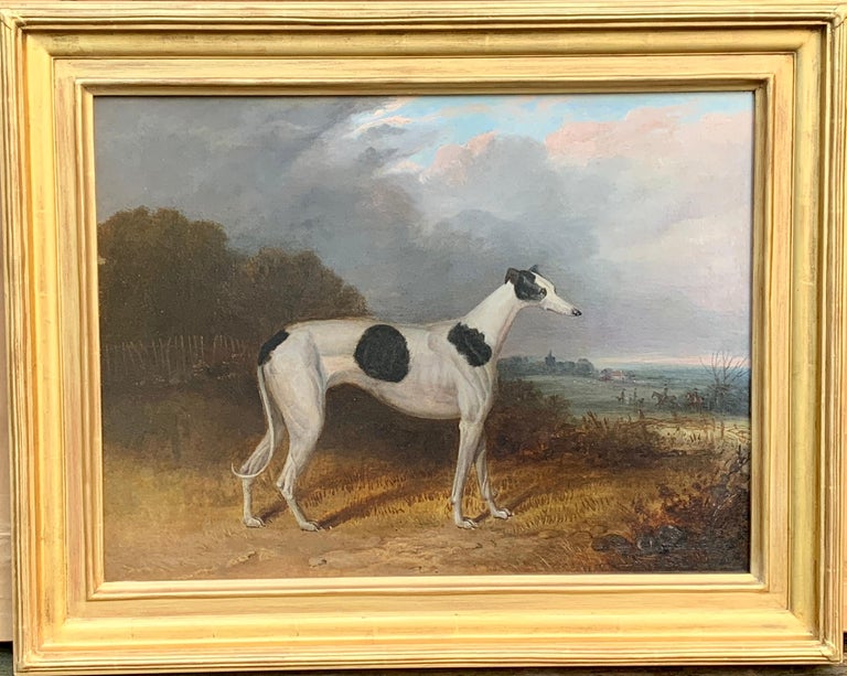 English portrait of a greyhound, ca. 1830, by an unknown artist, offered by David Brooker Fine Art