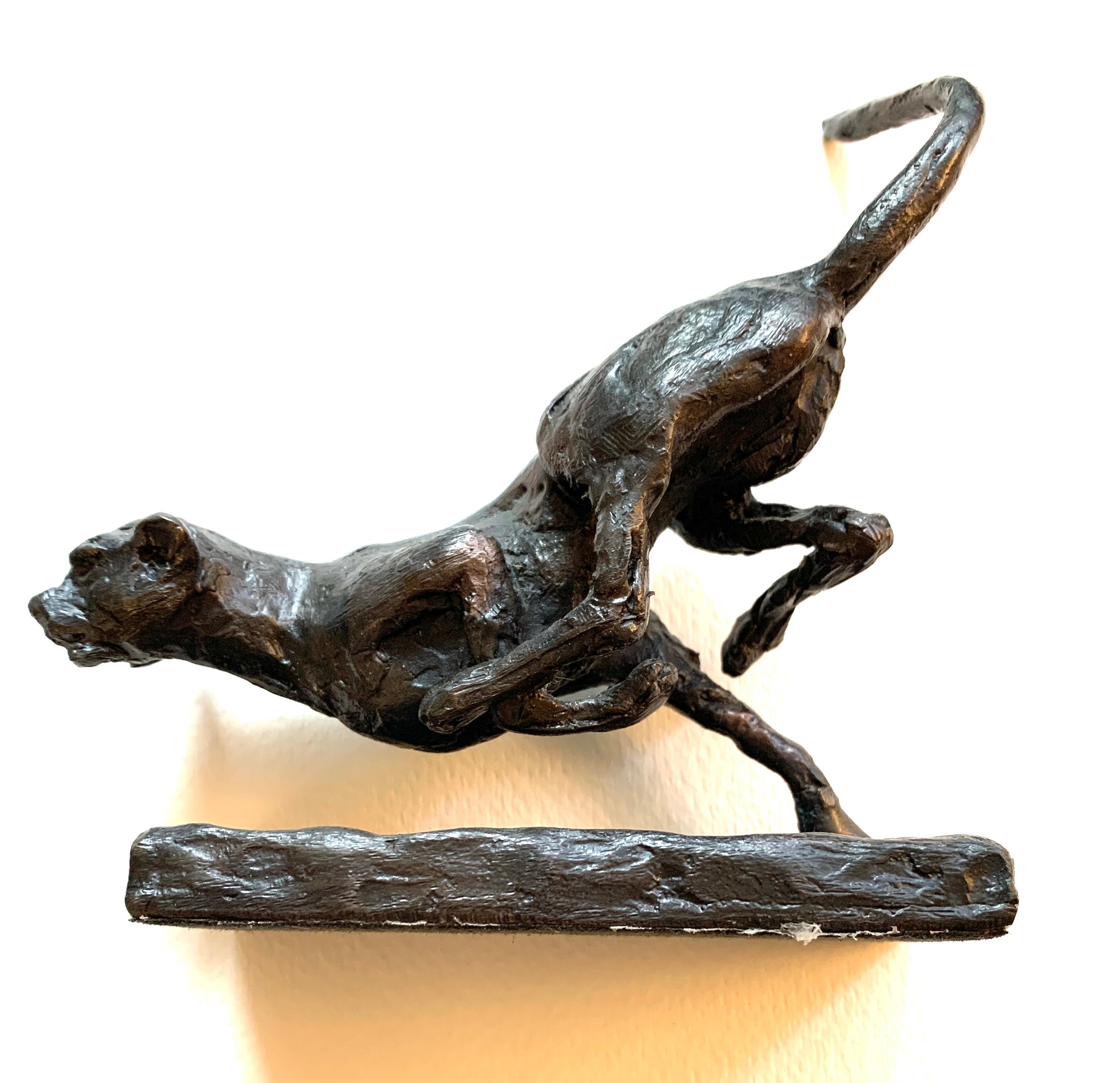 Jonathan Sanders Figurative Sculpture - English 20th century limited edition Bronze of a running Cheetah