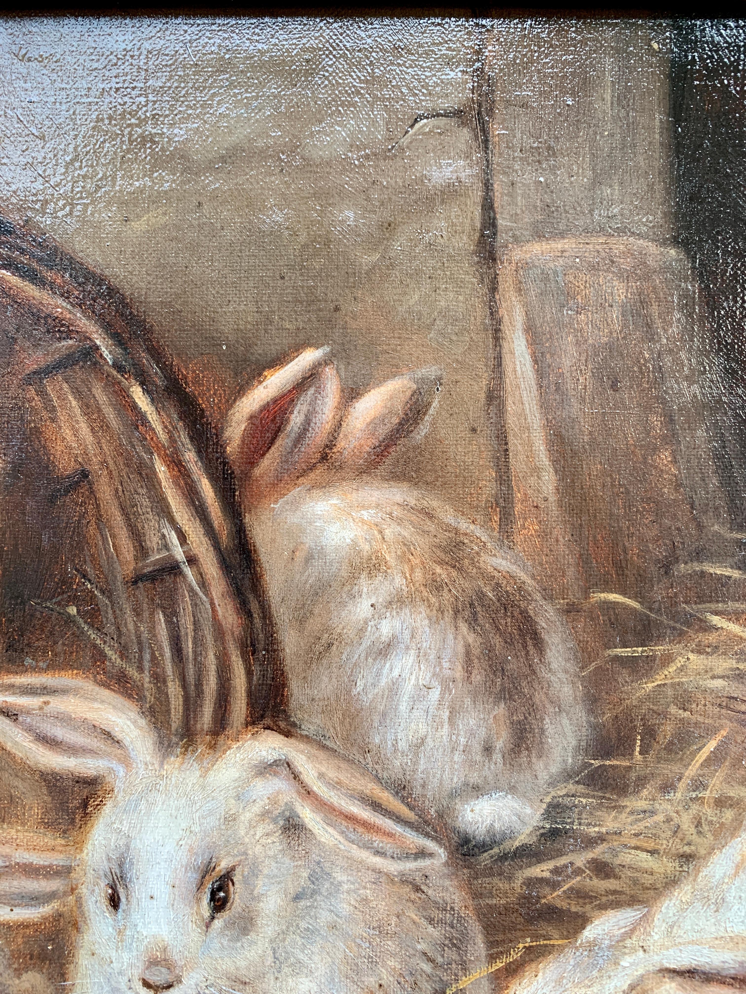 jack rabbit barber
