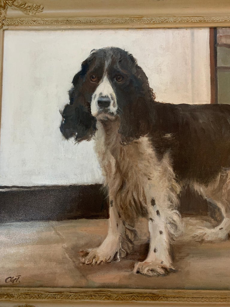 20th century English portrait of a standing Springer Spaniel dog. For Sale 4
