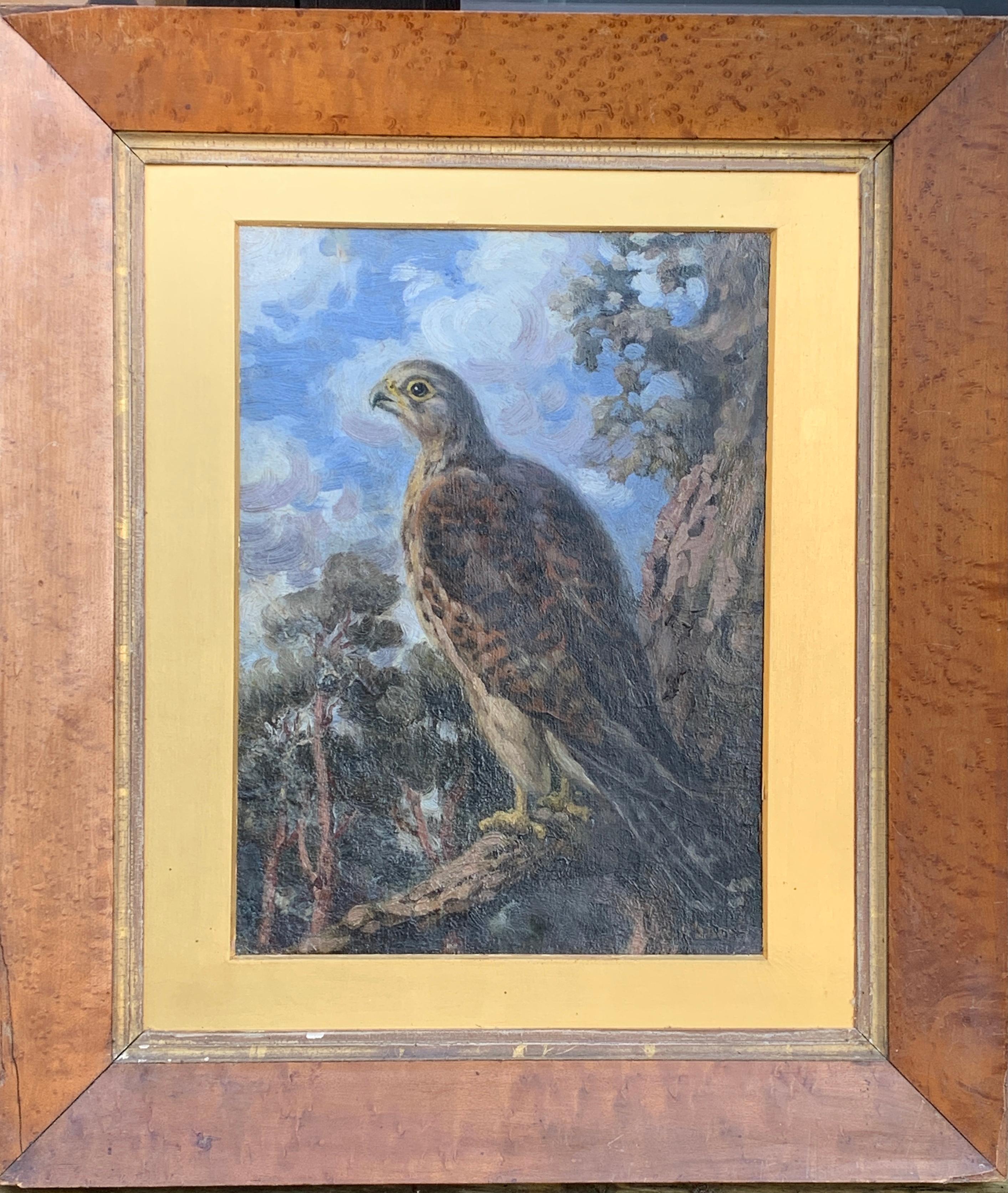 Early 20th century English portrait oil of a Falcon hunting bird in a landscape.