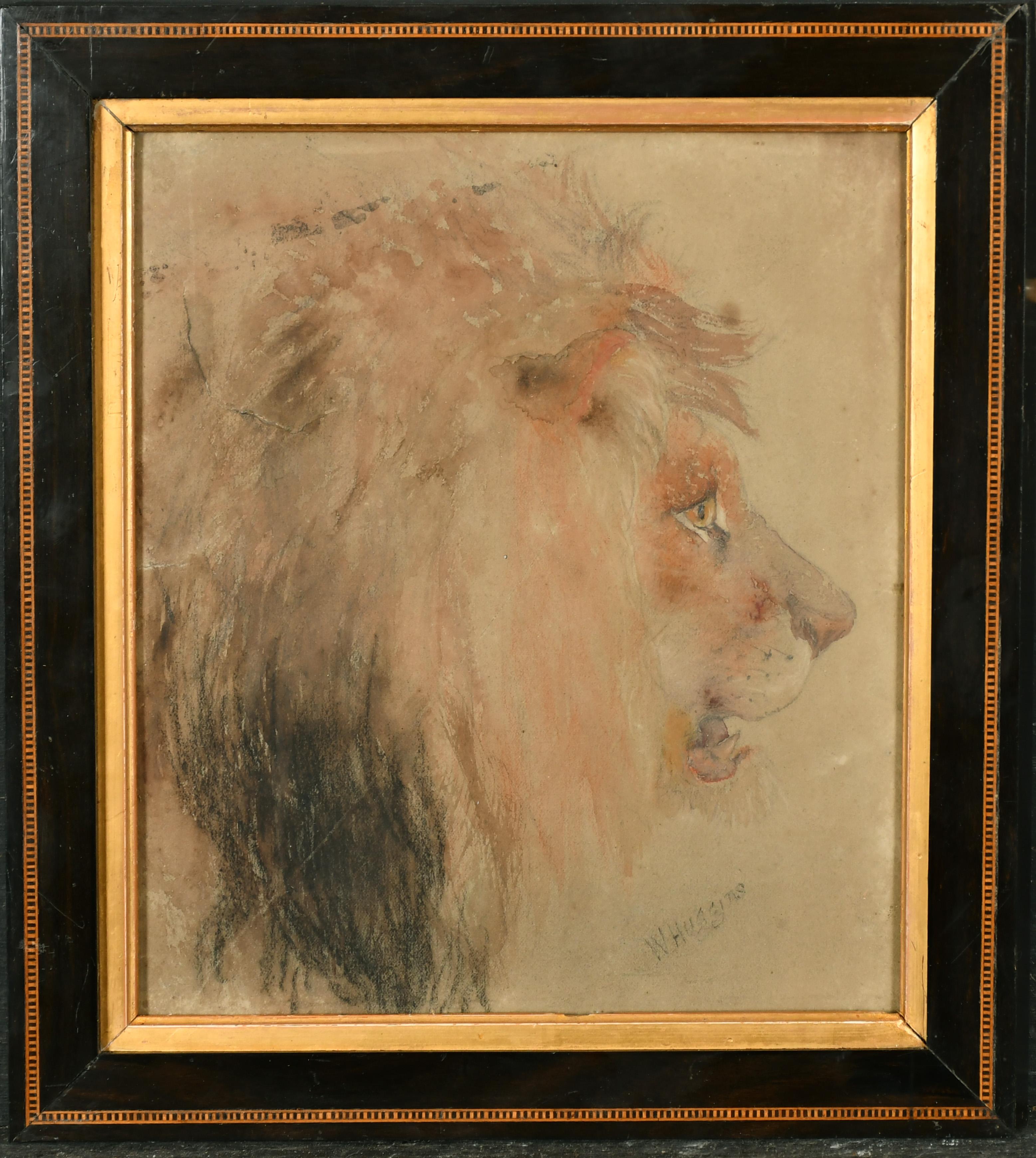 William Huggins Portrait - 19th century English chalk drawing on paper of a Lions head