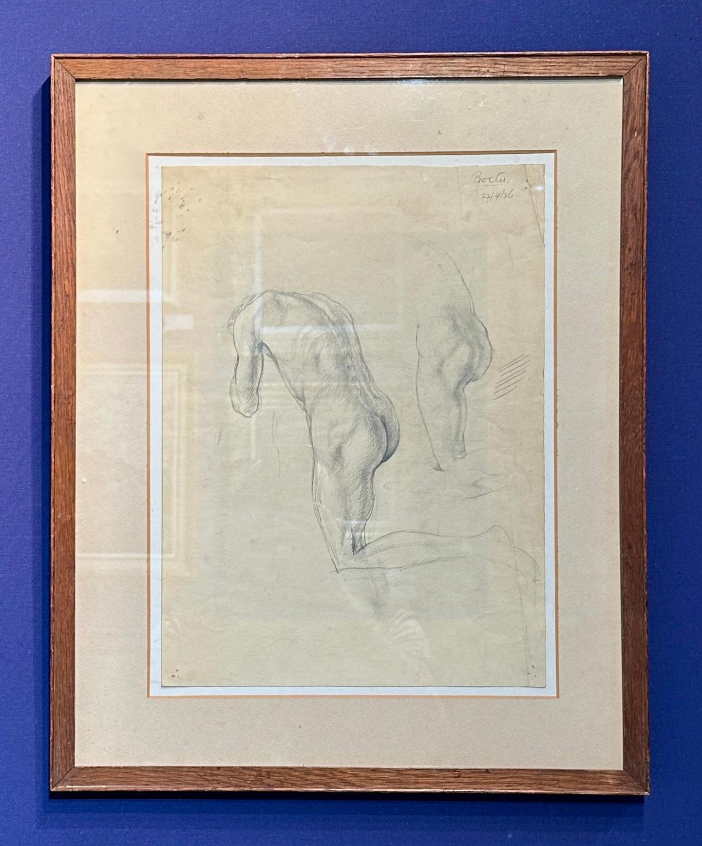 20th century English pencil nude study of a torso