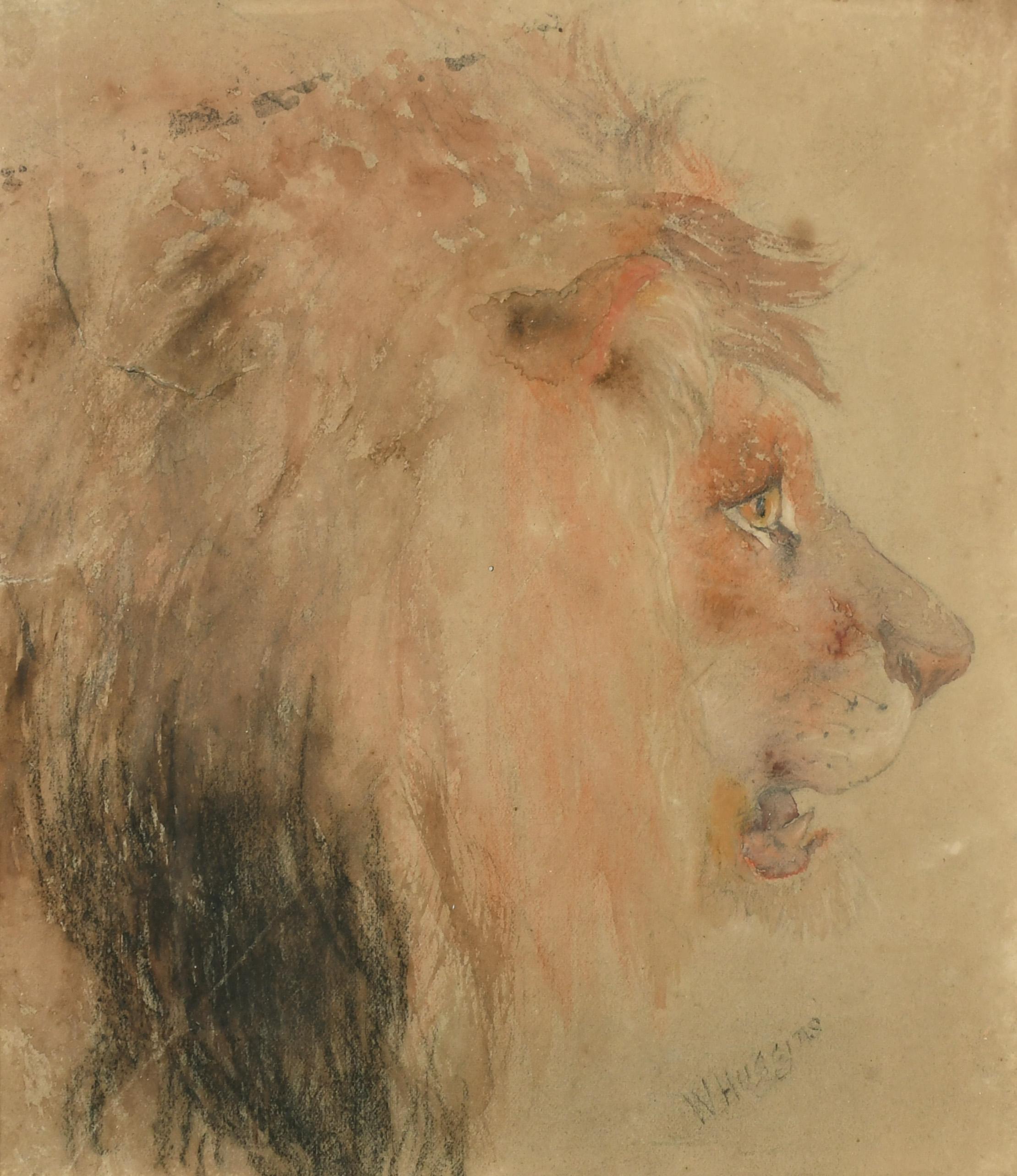 19th century English chalk drawing on paper of a Lions head - Art by William Huggins