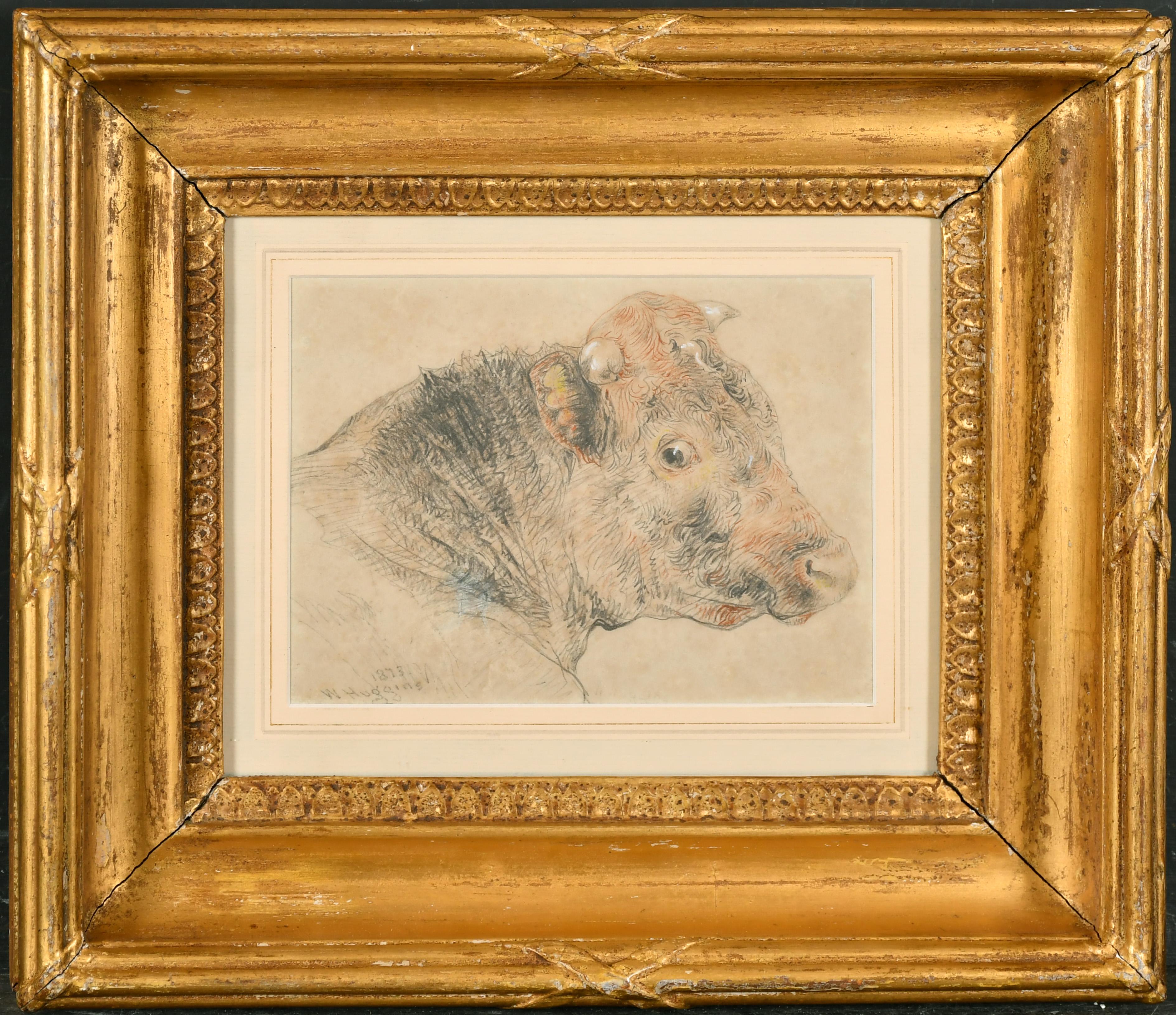 William Huggins Portrait - 19th century English chalk drawing on paper of Cow