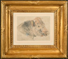 19th century English chalk drawing on paper of Cow