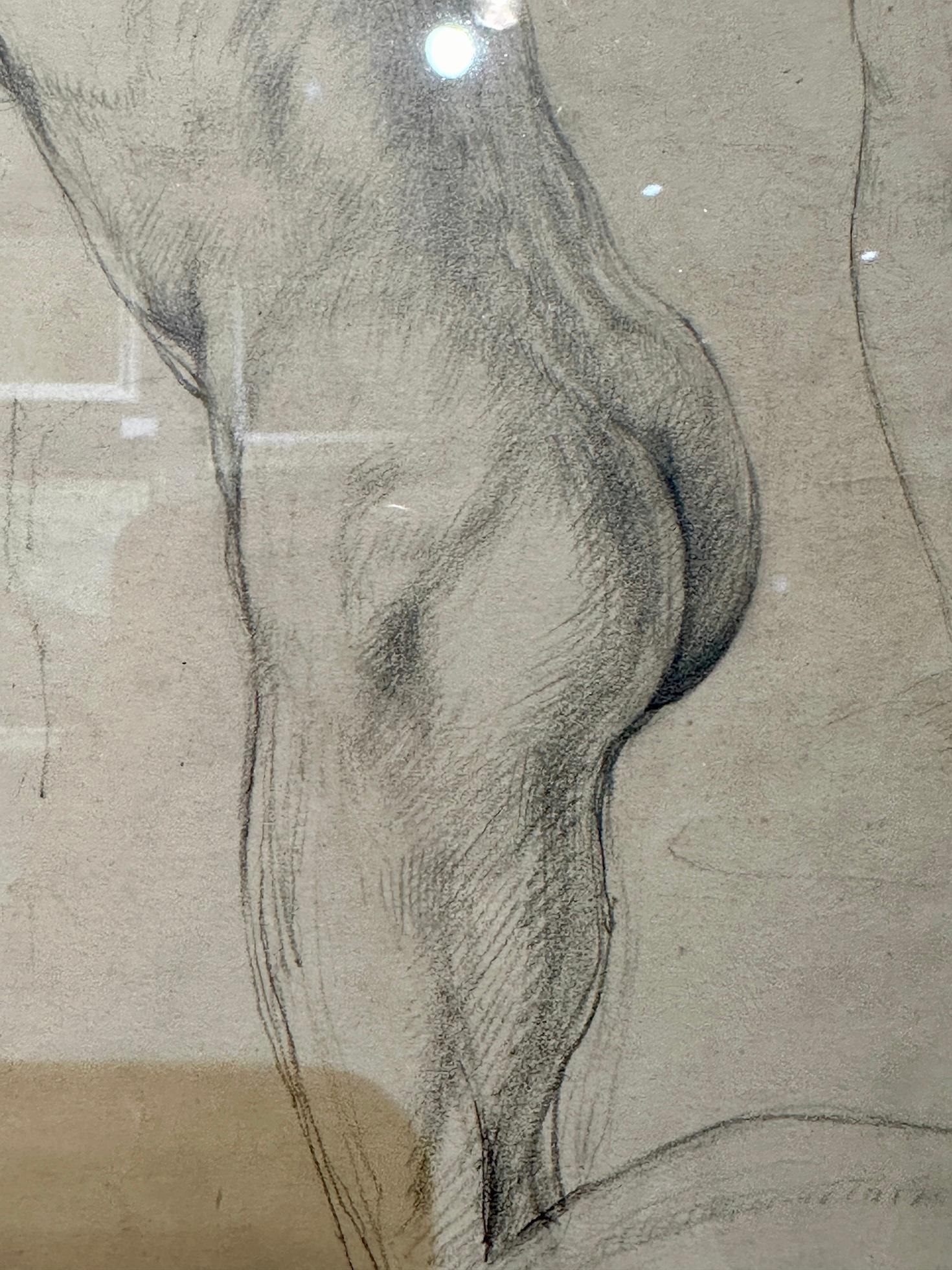 20th century English pencil nude study of a torso - Art by Ernest Procter