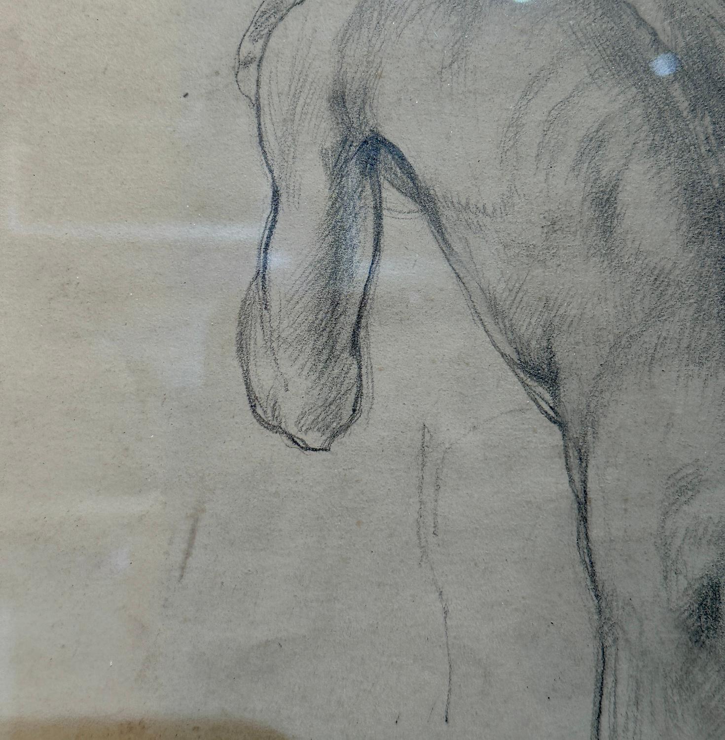 Ernest Procter

Wonderful classical drawing of a nude torso.

Ernest Procter ARA was an English designer, illustrator and painter, and husband of the famous British artist Dod Procter. He was actively involved with the Newlyn School, partner of the