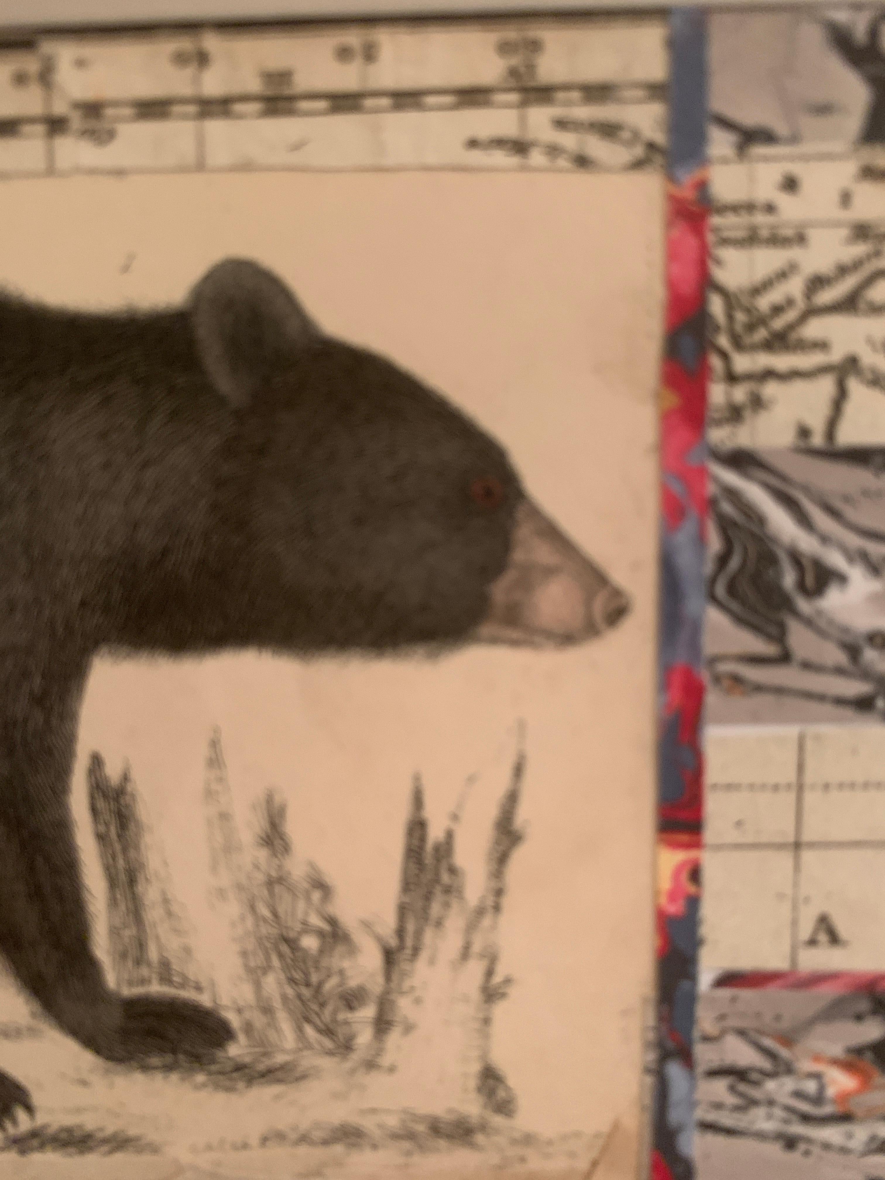 American flag collage with a 19th C hand colored engraving of a bear 2