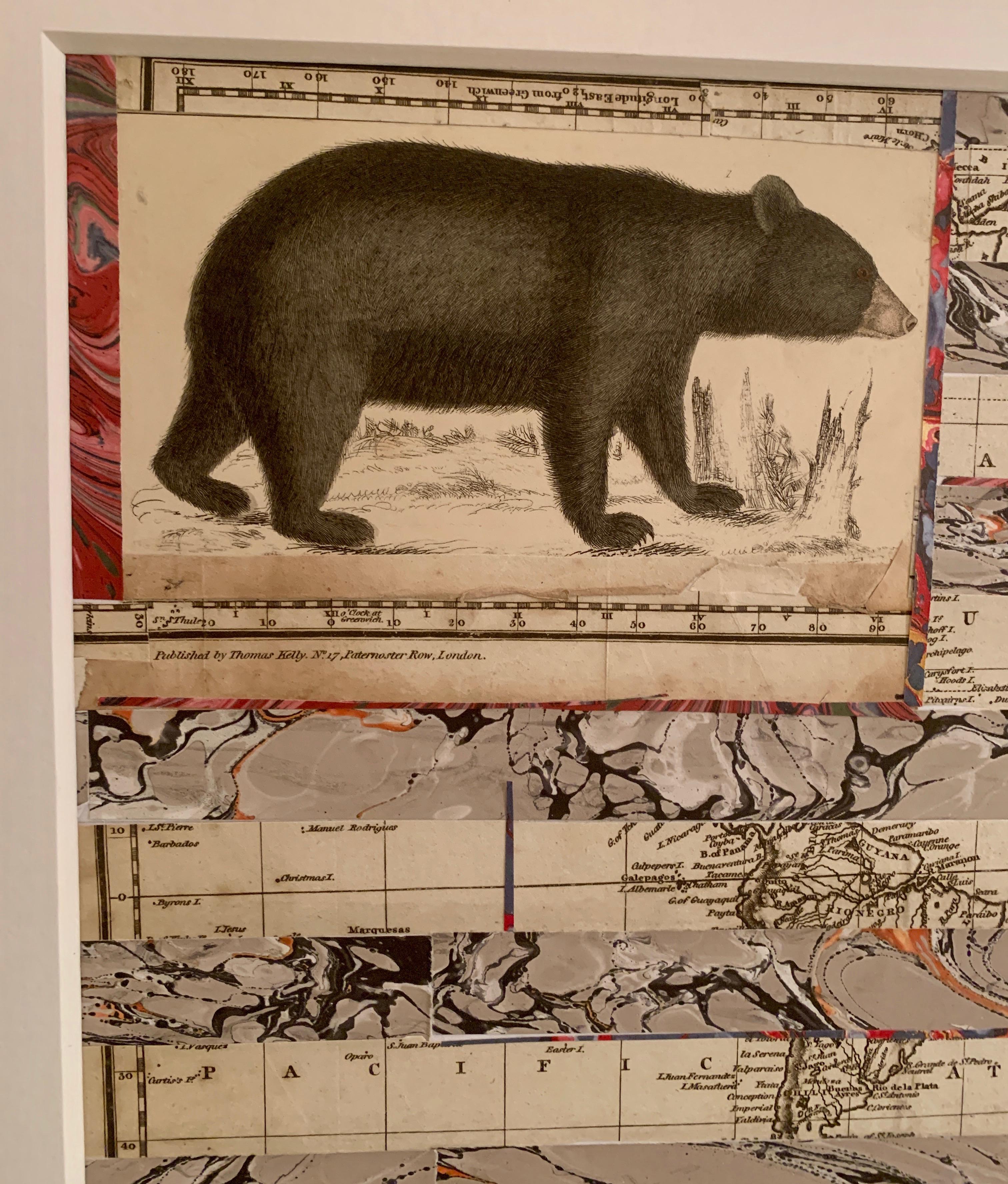American flag collage with a 19th C hand colored engraving of a bear – Art von Claude Howard Stuart