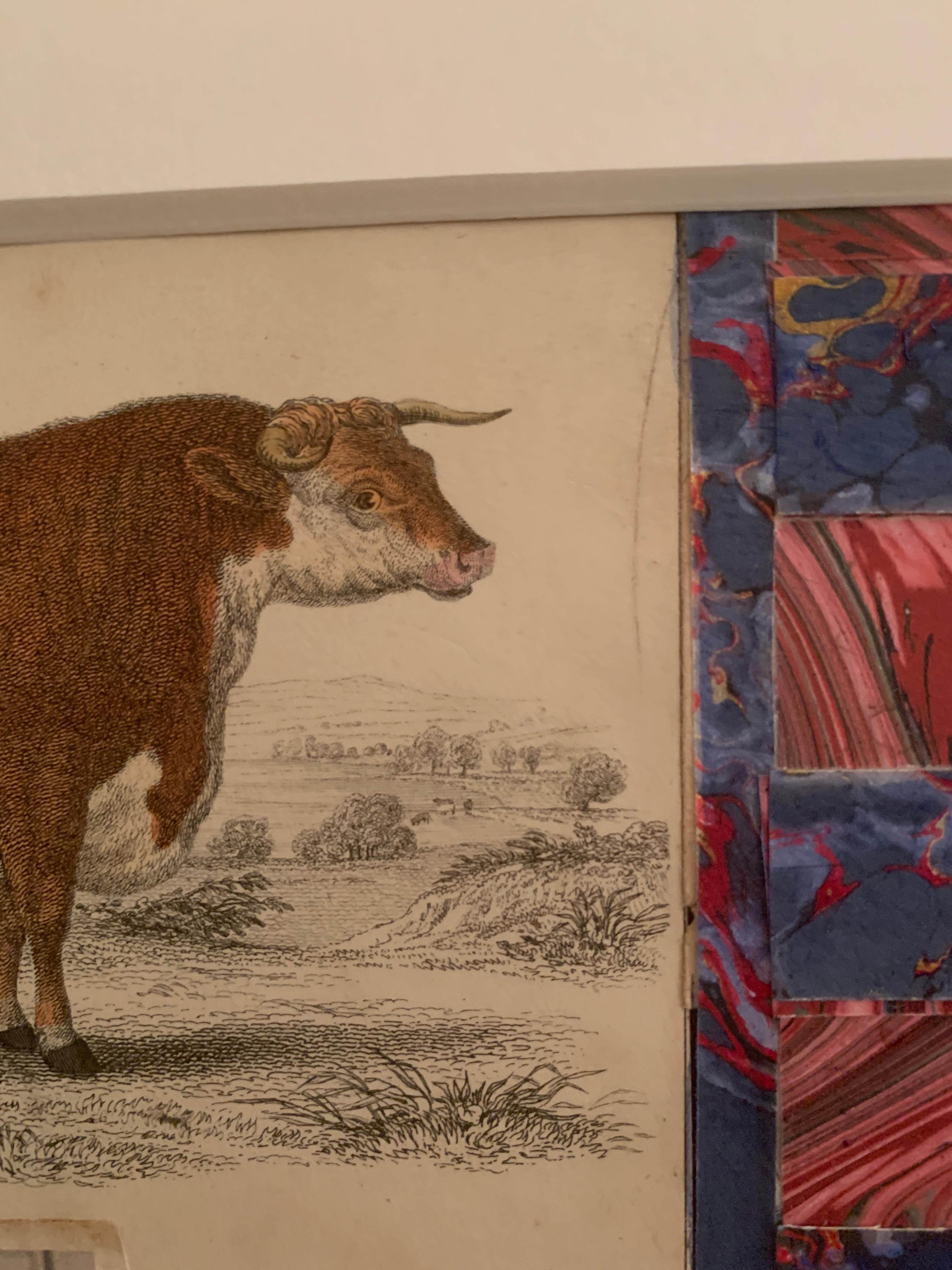 Amerikanische Flaggencollage aus dem 19. Jahrhundert mit einer handkolorierten Gravur einer Kuh im Angebot 1
