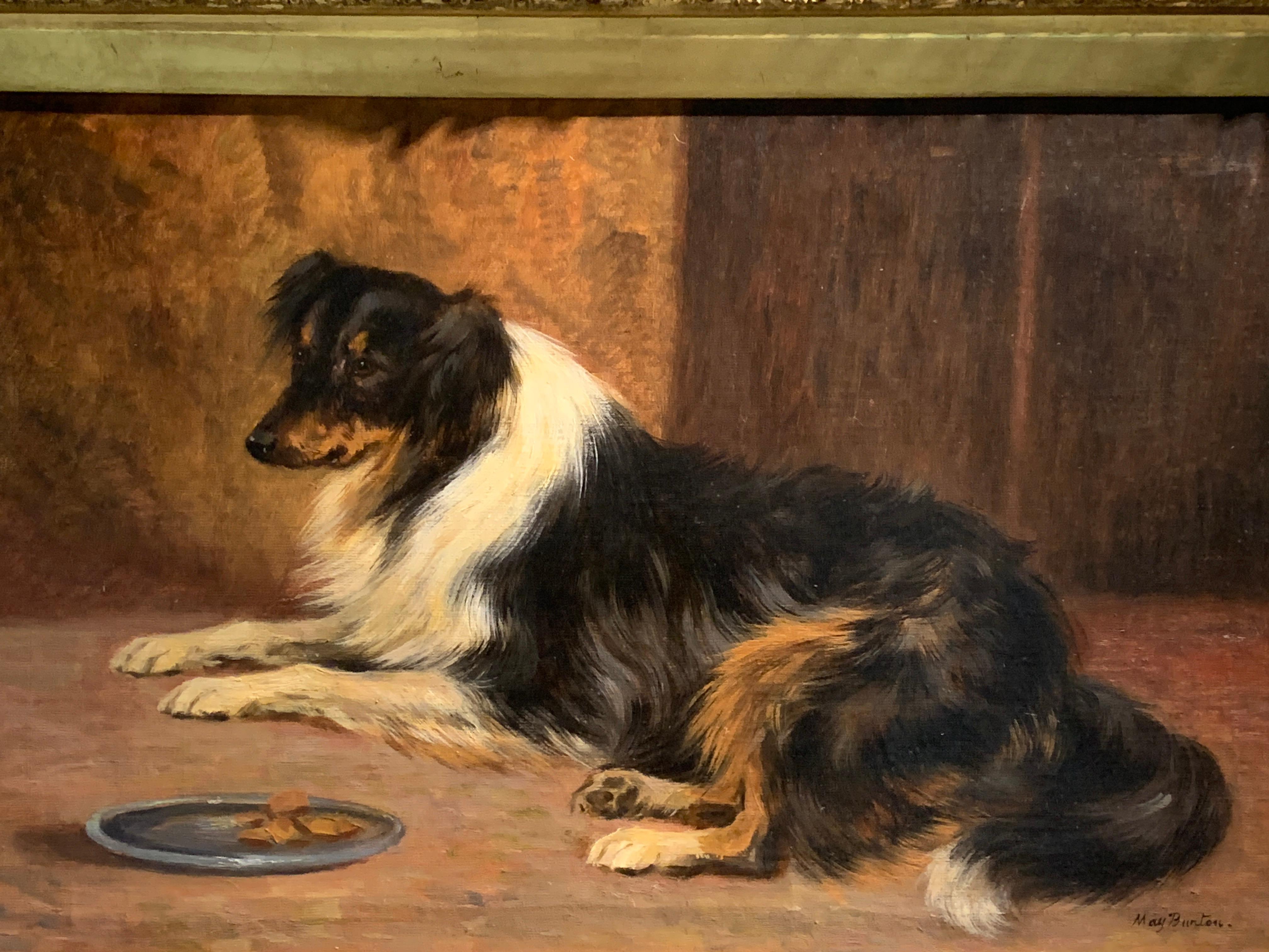 English early 20th century Portrait of a seated Collie dog  - Painting by May Burton