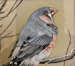 English 20th century study of a Finch bird seated on a snow covered branch