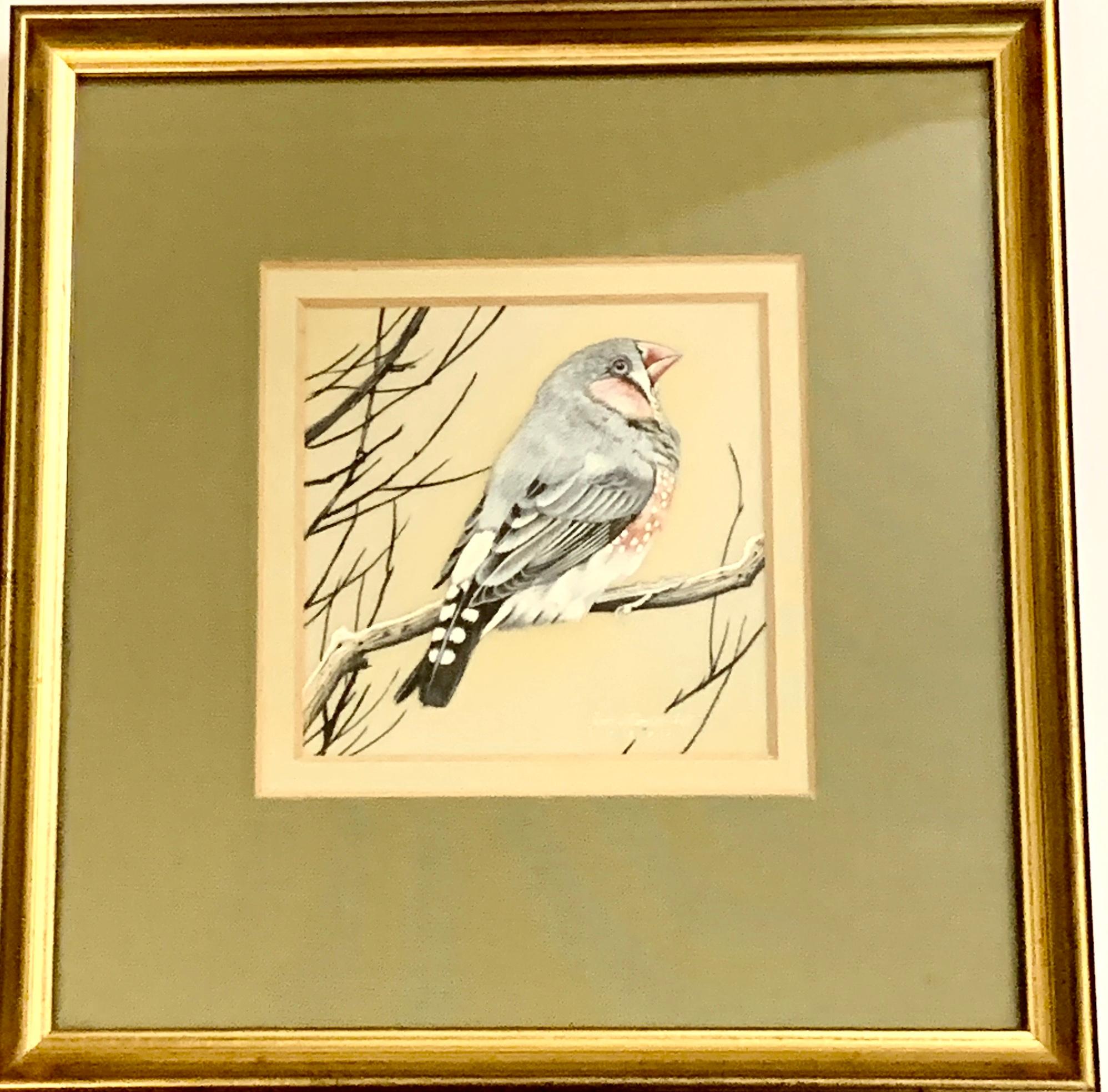 Étude anglaise du 20e siècle d'un oiseau de Finch assis sur une branche recouverte de neige