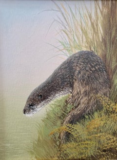 Portrait of an English Brown and White Otter, on the banks of a River Landscape