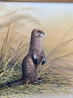 Portrait of an English Brown and White Otter, on the banks of a River Landscape