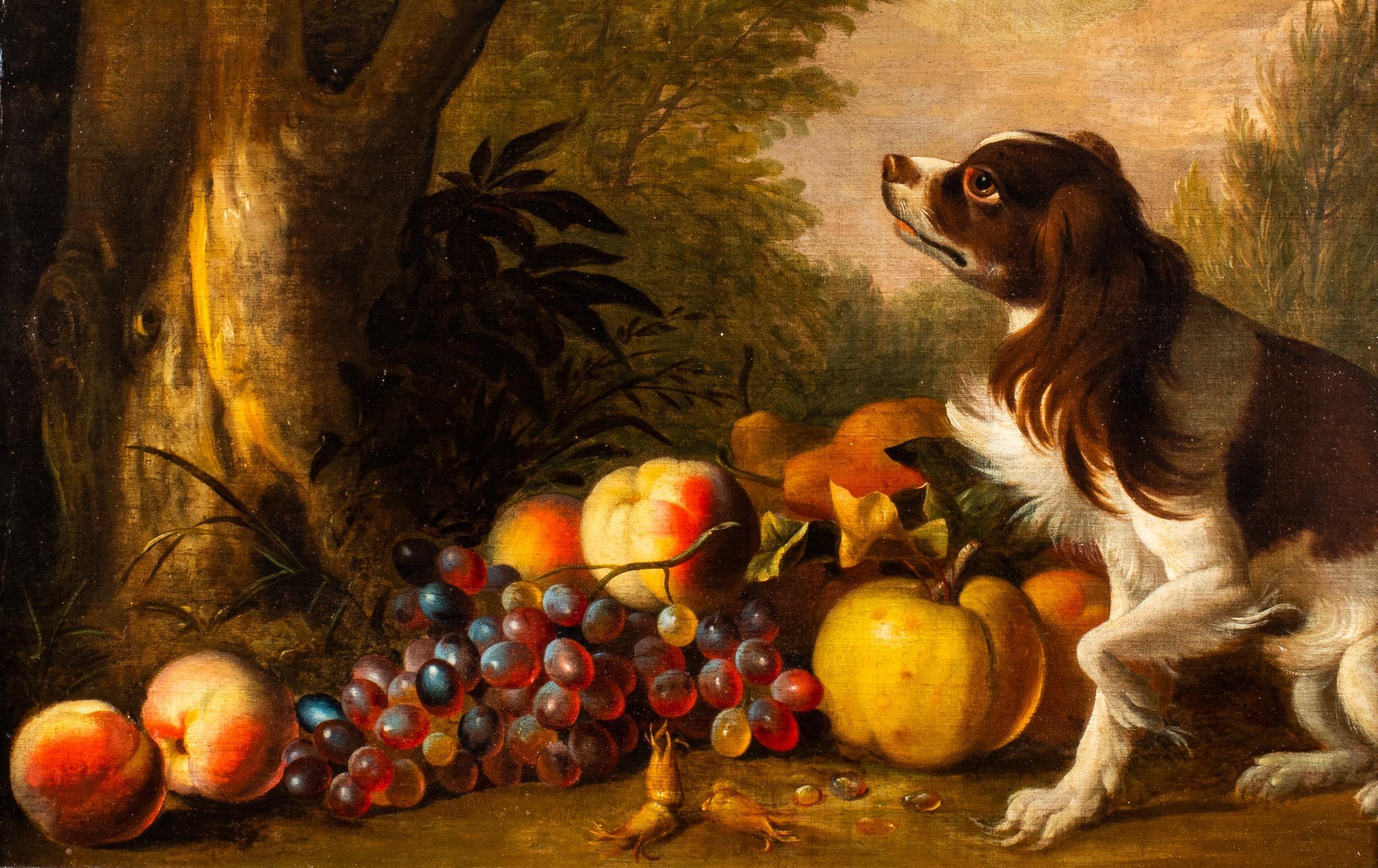 Porträt eines Spanielhundes mit Früchten in einer Waldlandschaft aus dem 18. Jahrhundert. – Painting von Tobias Stranover
