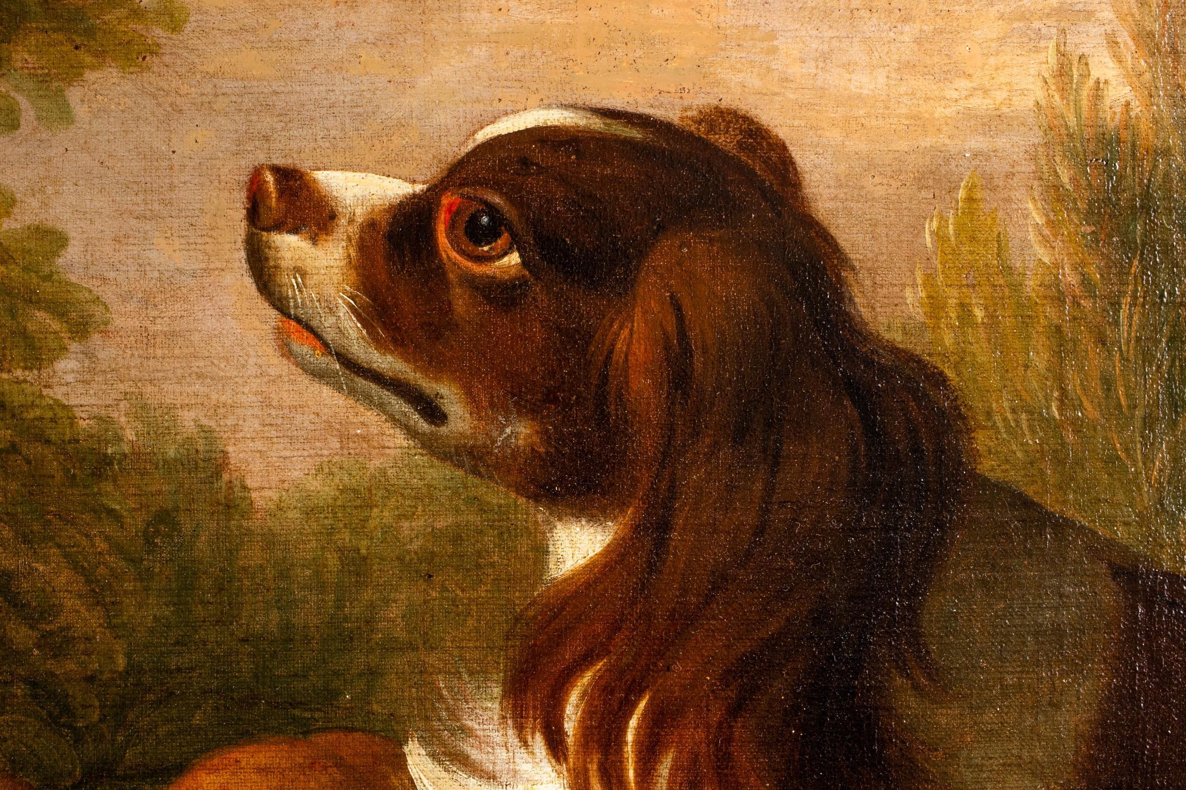 Porträt eines Spanielhundes mit Früchten in einer Waldlandschaft aus dem 18. Jahrhundert. (Braun), Still-Life Painting, von Tobias Stranover