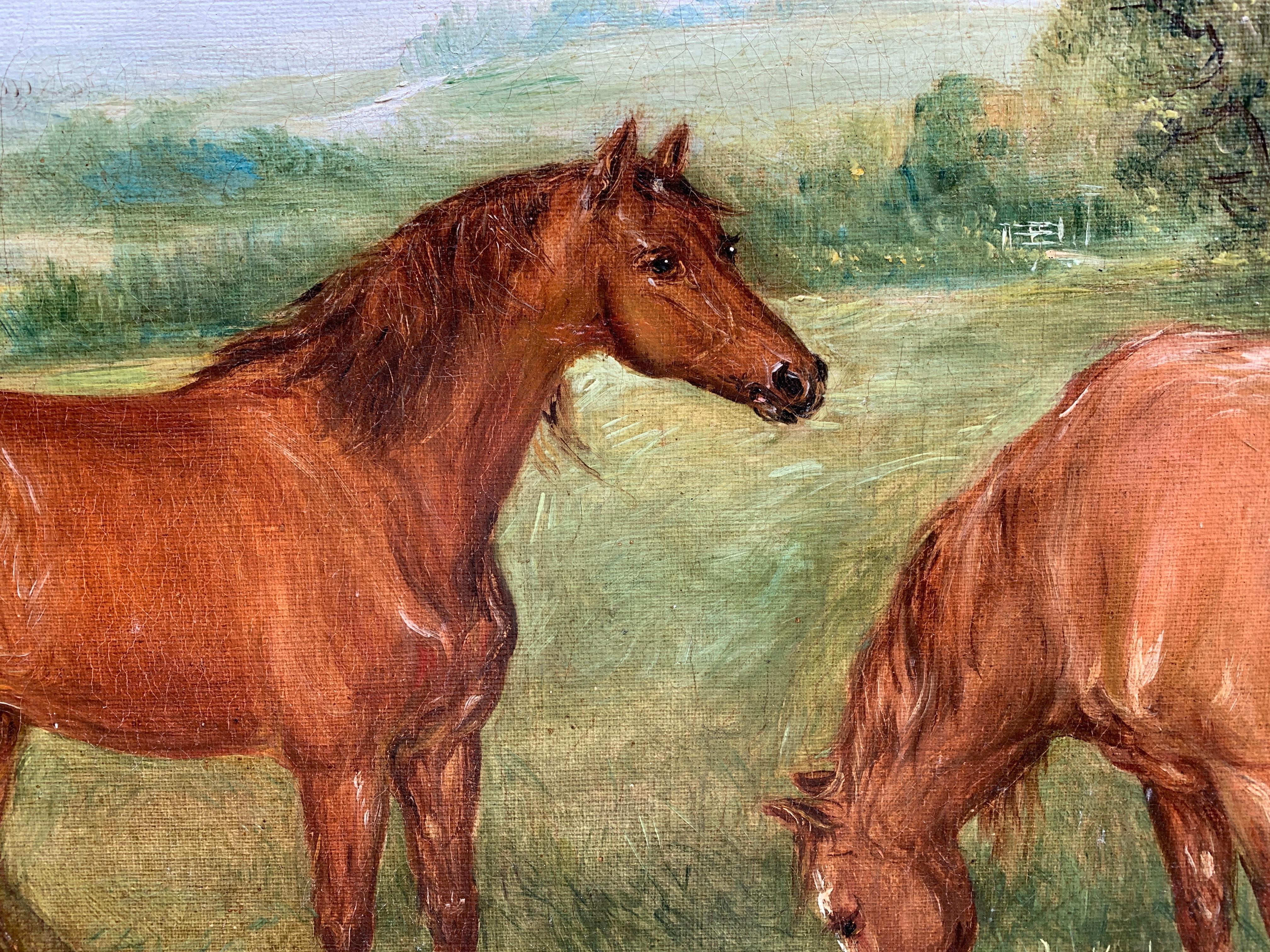Porträt des frühen 20. Jahrhunderts von  shire- oder Clydesdale-Pferde in einer Landschaft. (Braun), Animal Painting, von Edwin Frederick Holt