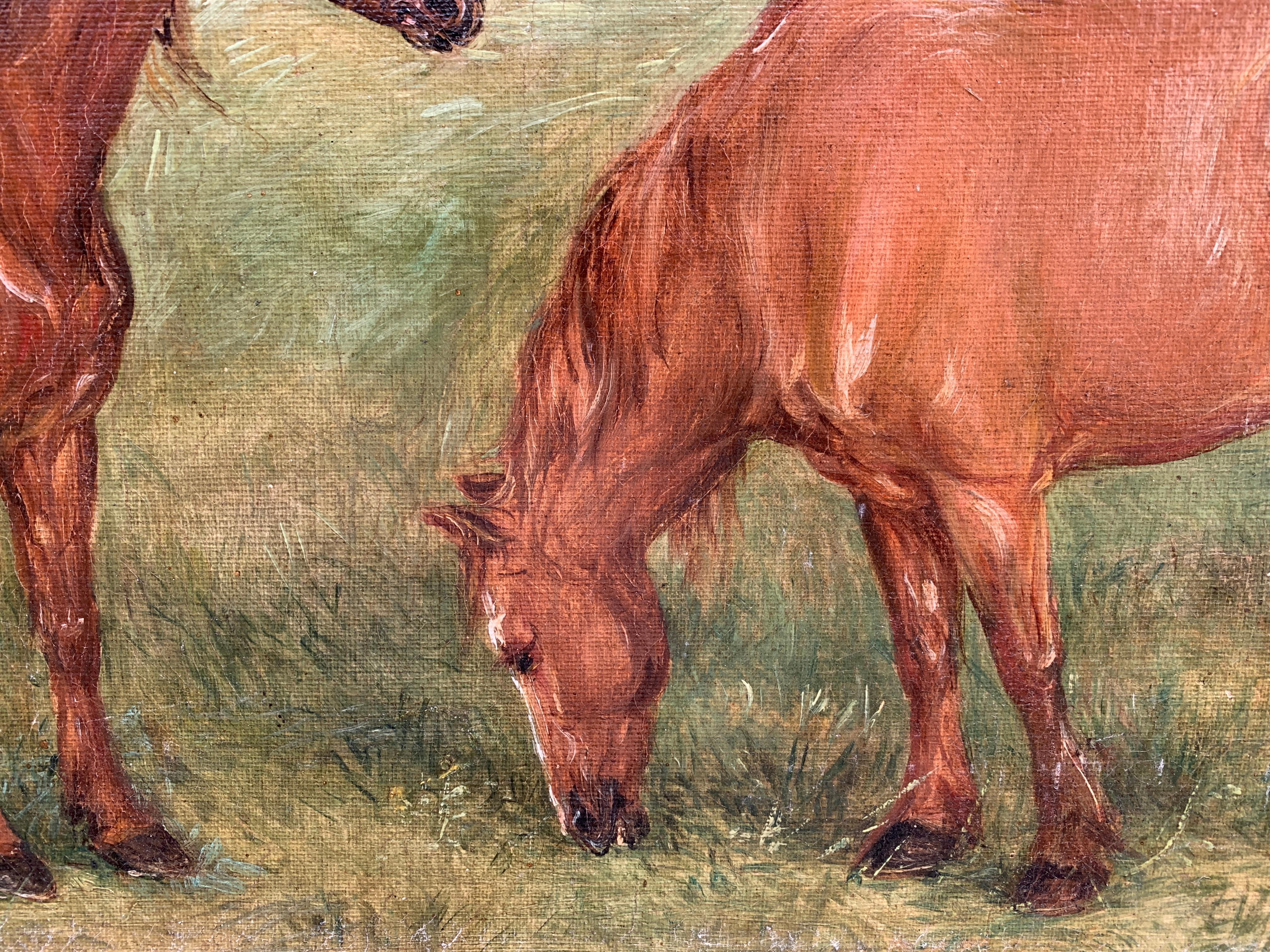 Ritratto di inizio XX secolo di  cavalli shire o Clydesdale in un paesaggio. - Painting Vittoriano di Edwin Frederick Holt