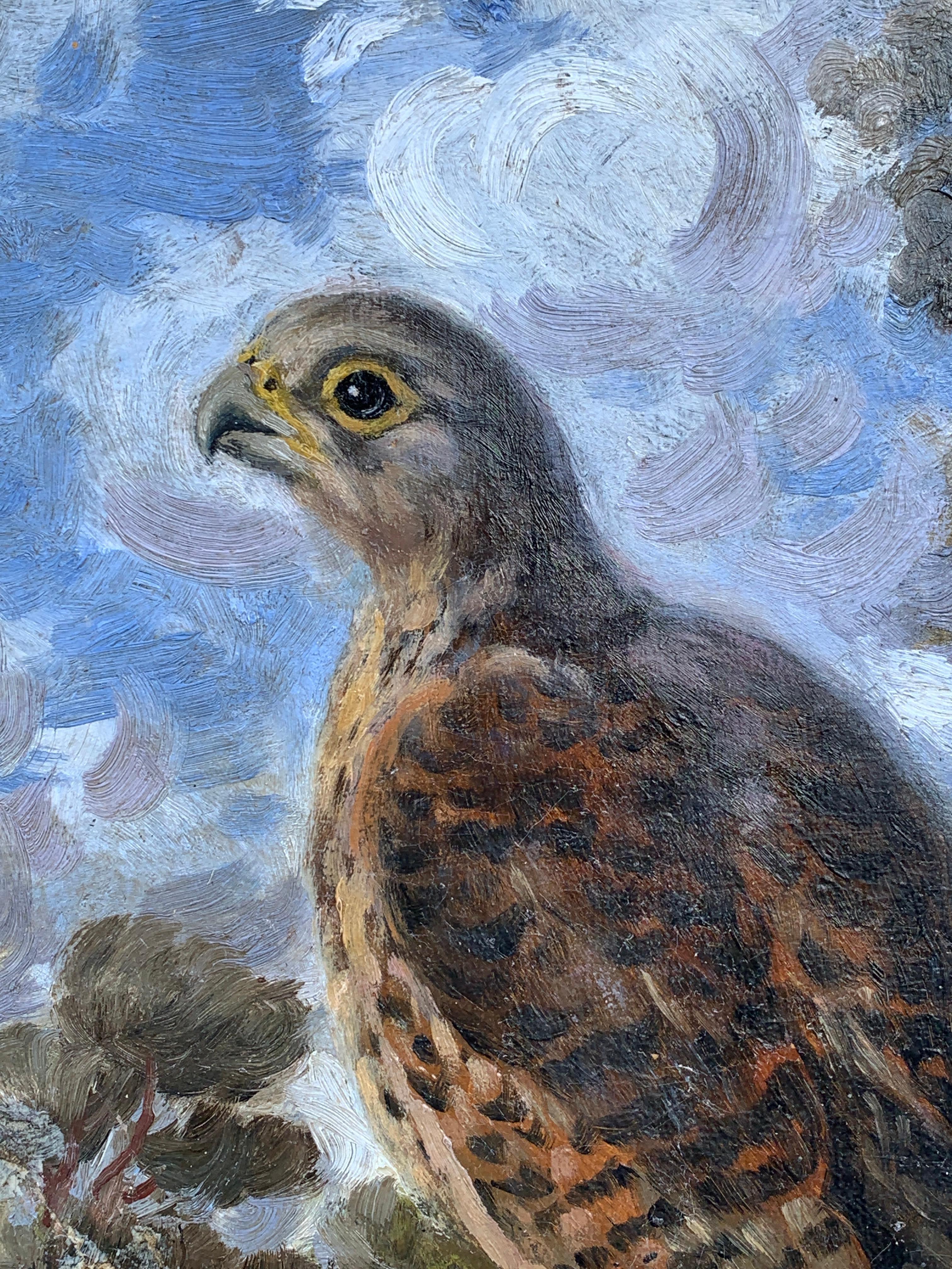 Early 20th century English portrait oil of a Falcon hunting bird in a landscape. - Painting by George Anderson Short
