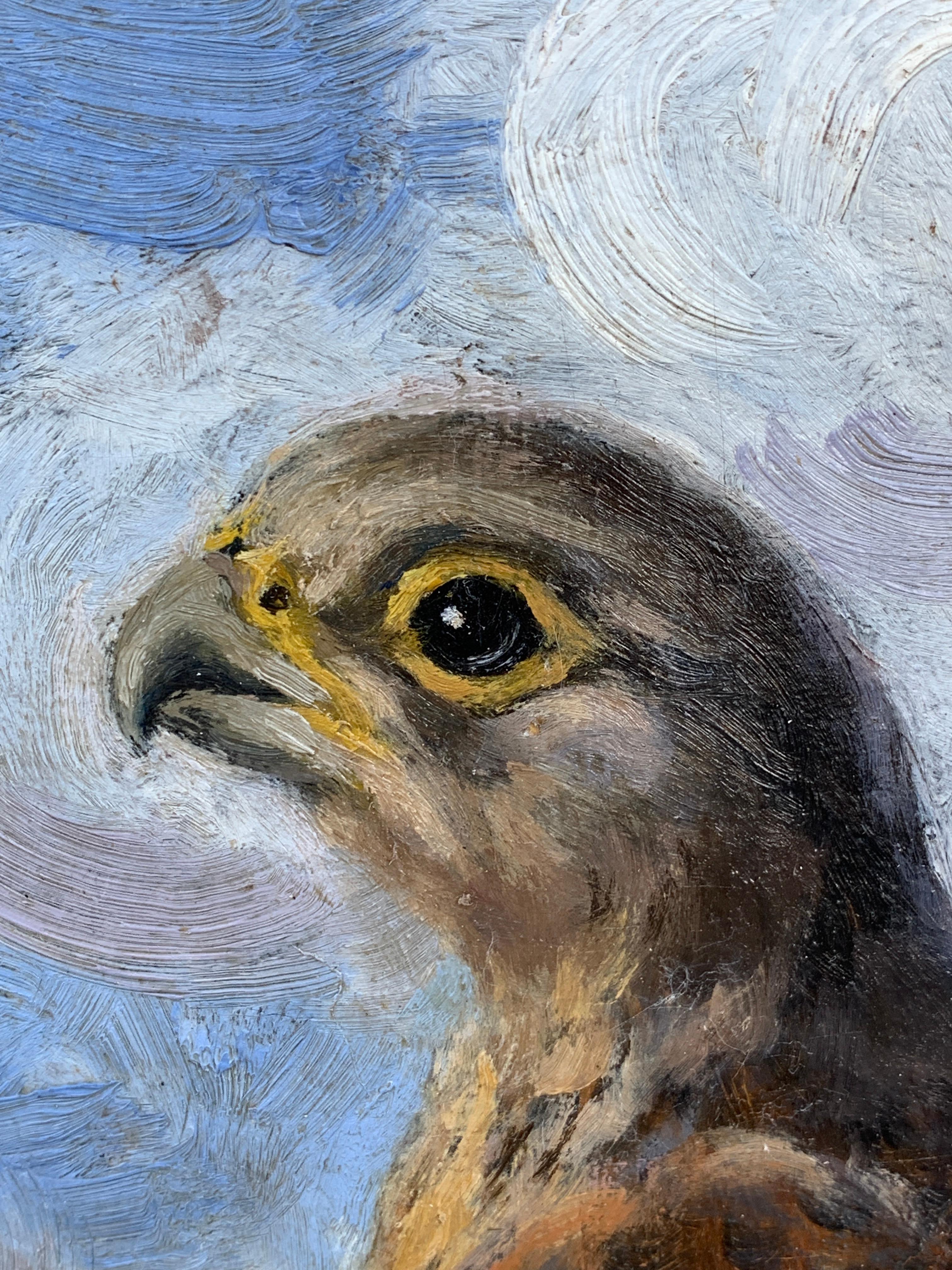 Englisches Porträt des frühen 20. Jahrhunderts, Ölgemälde eines Jagdvogels mit Falcon in einer Landschaft. (Braun), Animal Painting, von George Anderson Short