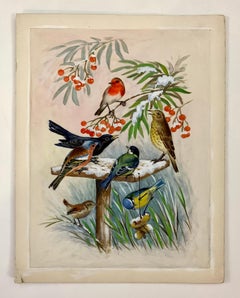 Aquarelle anglaise de Noël représentant un Robin, oiseau noir, Caffinch, Starling par holly 