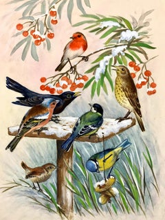 Aquarelle anglaise de Noël représentant un Robin, oiseau noir, Caffinch, Starling par holly