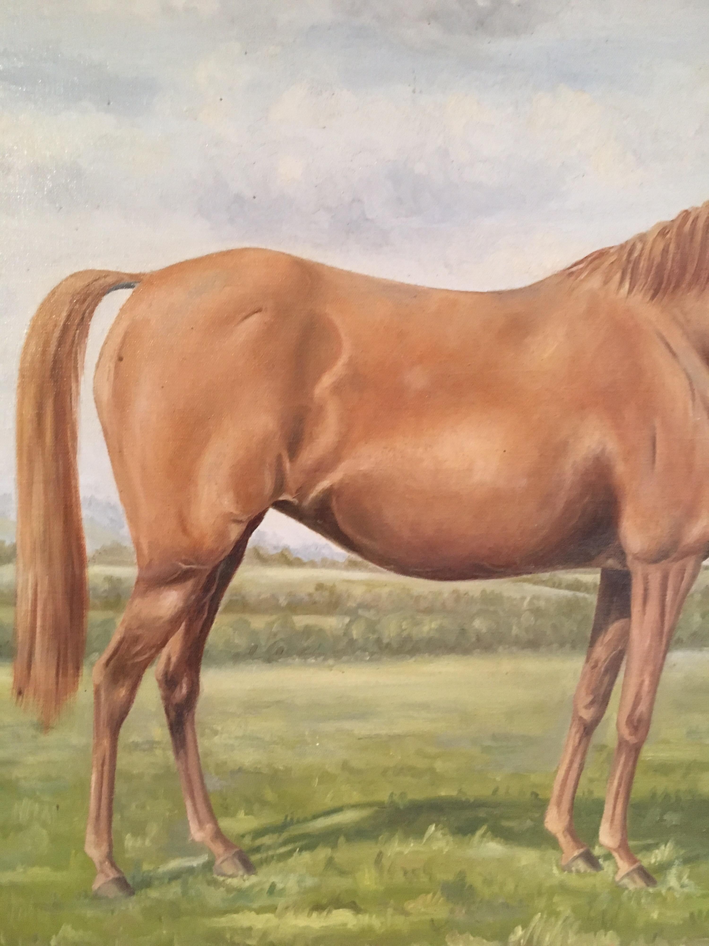 Equestrian Portrait, Toffee Coloured Horse Still Life, Signed Oil Painting
By British artist John Hawes, Mid 20th Century
Signed and dated '1960' by the artist on the lower right hand corner
Oil painting on canvas, framed
Frame size: 25 x 29