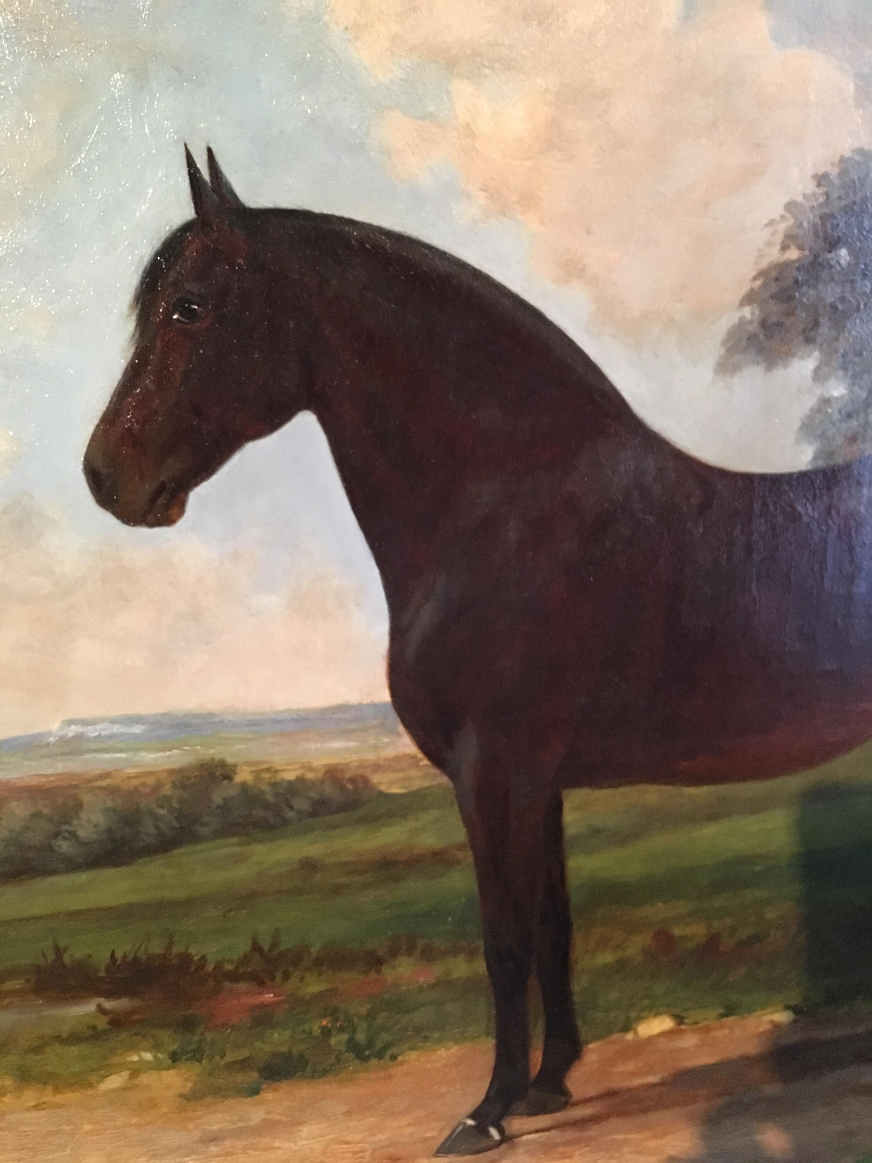 'Harvester' Equestrian Portrait, Horse Still Life, Signed Oil Painting Green 3