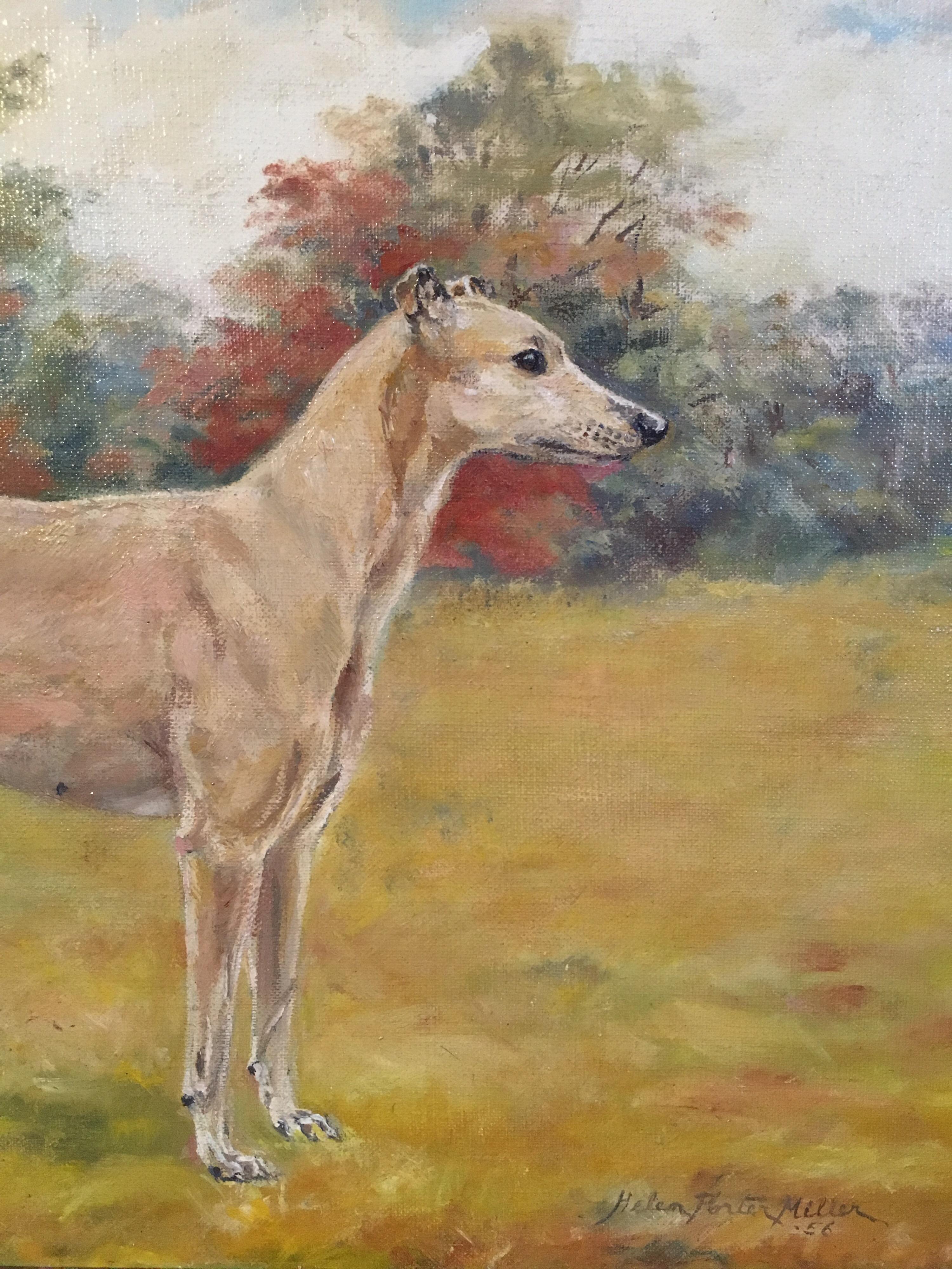 Whippet Dog Portrait 'Willeydon Harmony' Fine Impressionist Oil Painting, Signed
By British artist 'Helen Porter Millen' Mid 20th Century
Signed by the artist on the lower right hand corner, 
Titled verso
Oil painting on canvas, framed
Framed size: