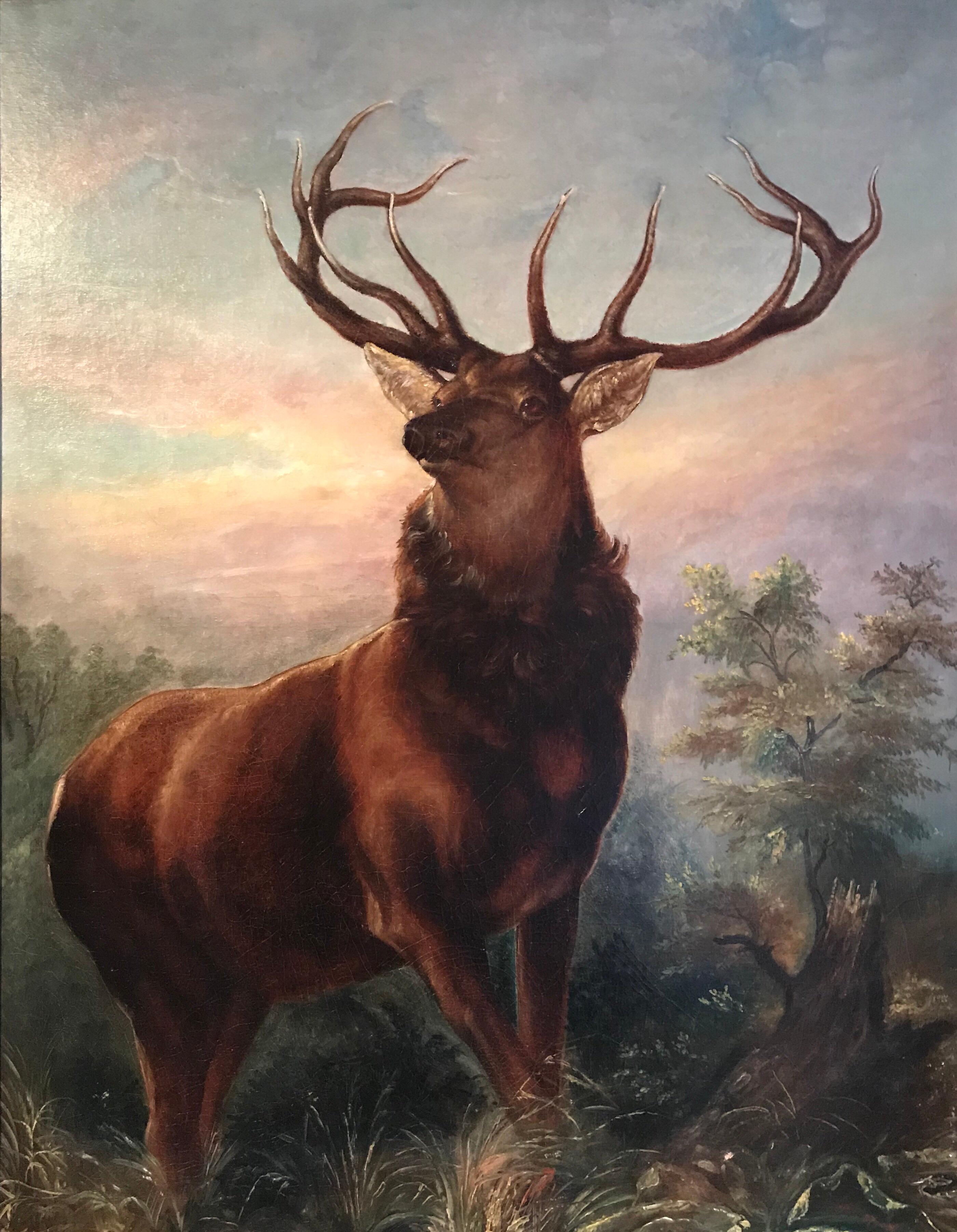 master of the glen
