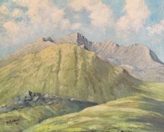 Green Pastures, Welsh Landscape, Original Oil Painting, Signed