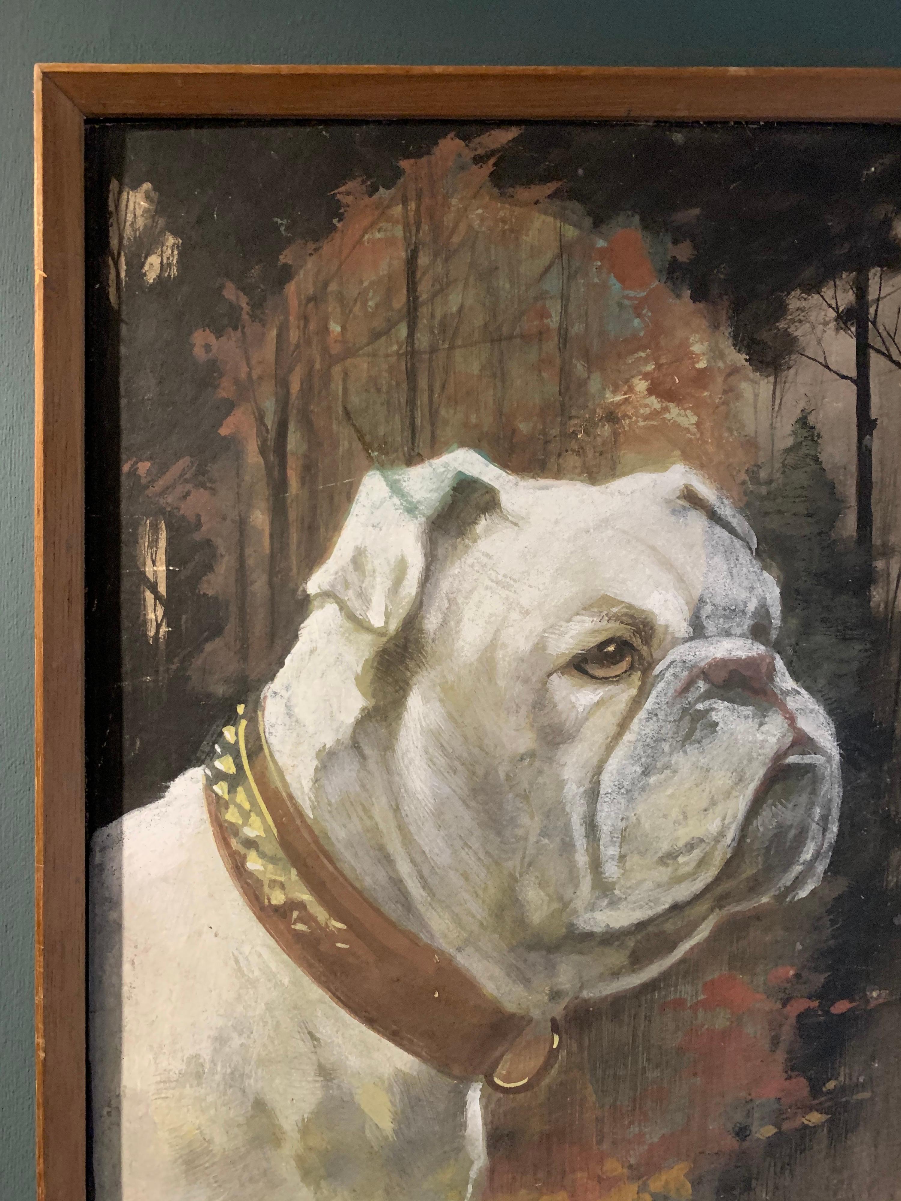 The British Bulldog
by Mercy Creed, British early 20th century
signed, gouache painting on card, framed
framed size: 14.5 x 10.5 inches

Superb original painting of this wonderfully characterful British Bulldog, who is standing proudly in a woodland